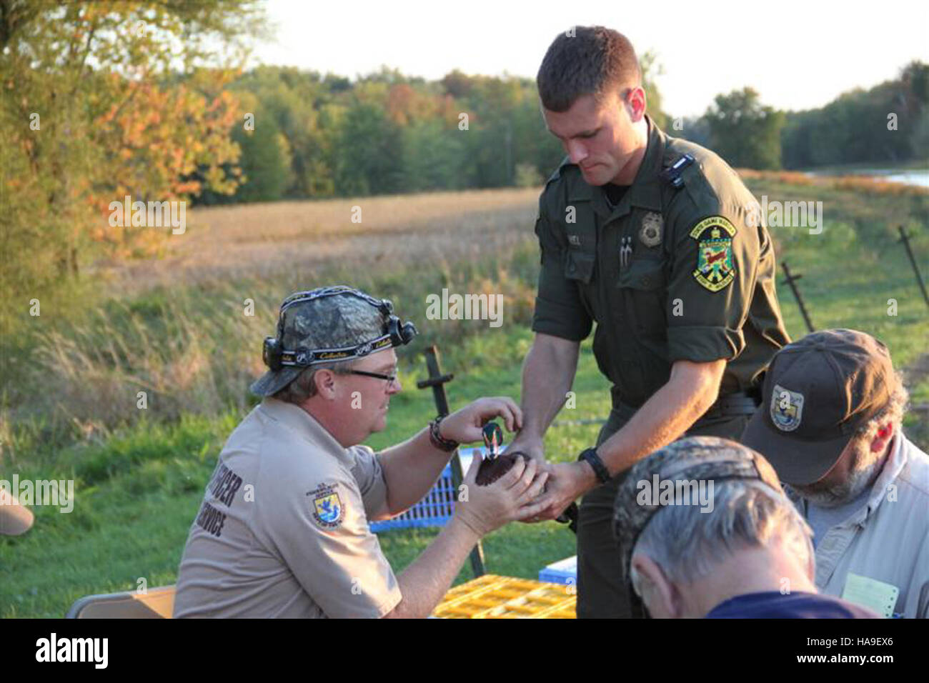 Usfwsnortheast 8026618572 Wasservögel Streifenbildung Stockfoto