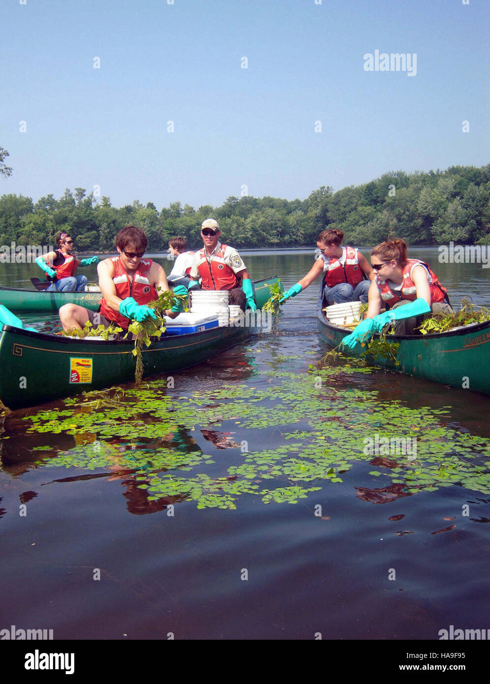 Nationale woche der invasiven arten Fotos und Bildmaterial in hoher