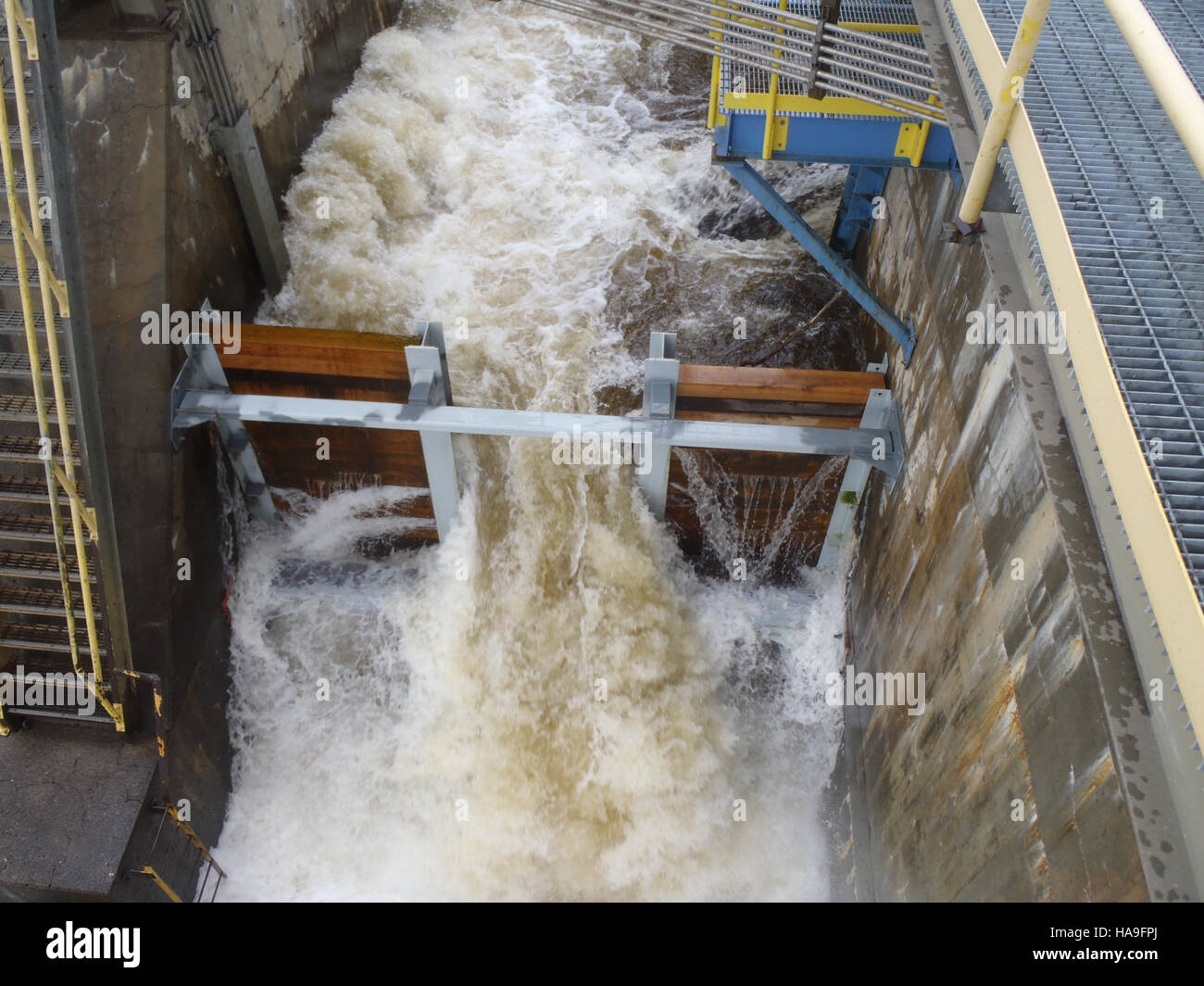 In einem Nationalpark wird eine Fischpassage angelegt, um wandernde Arten zu unterstützen, um sicherzustellen, dass aquatische Tierarten Barrieren umgehen können, was die Gesundheit des Ökosystems und die Artenvielfalt fördert. Stockfoto