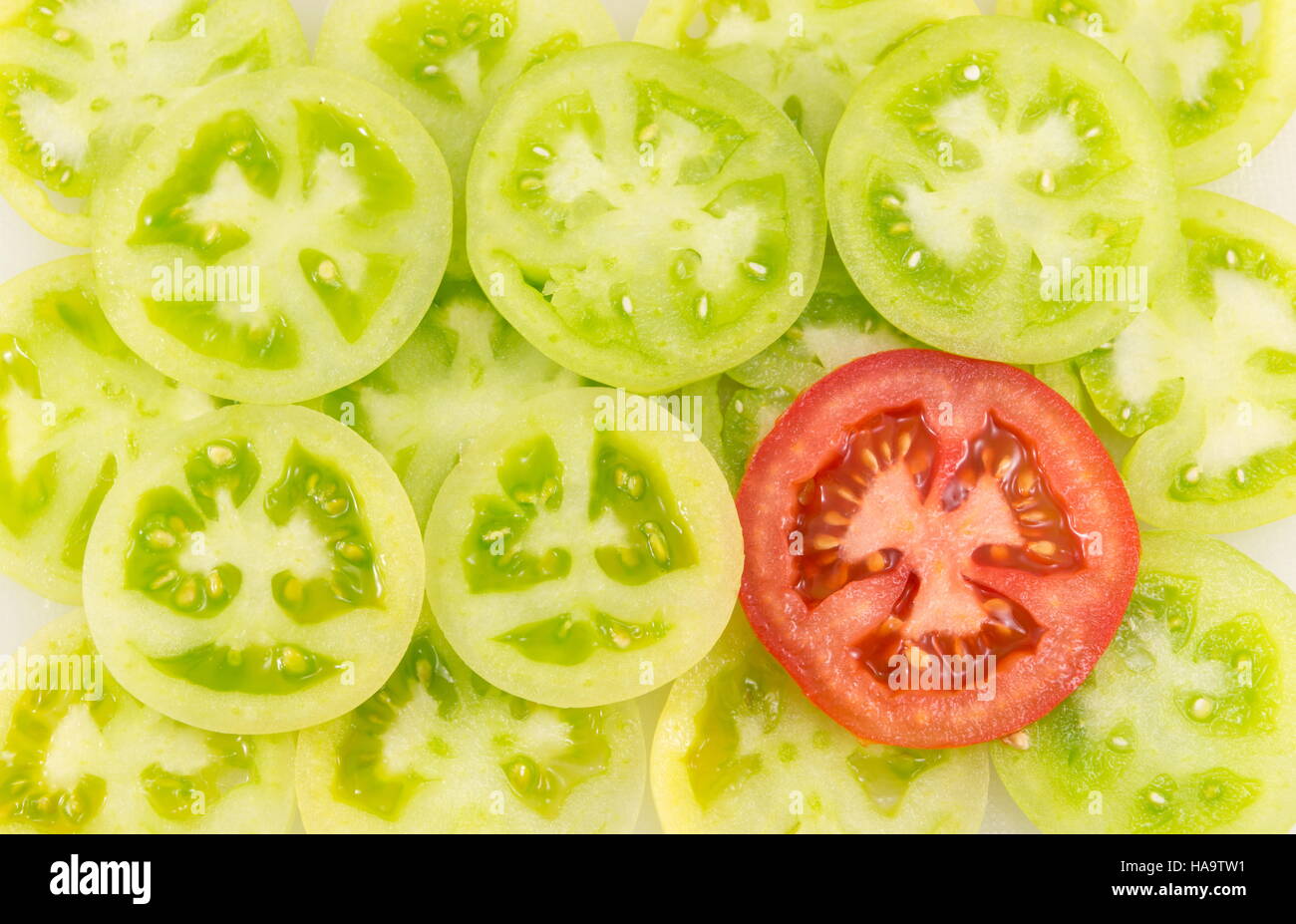 grüne Tomaten in Kreise geschnitten und zusammen angeordnet, neben einem roten Tomatenscheibe Stockfoto