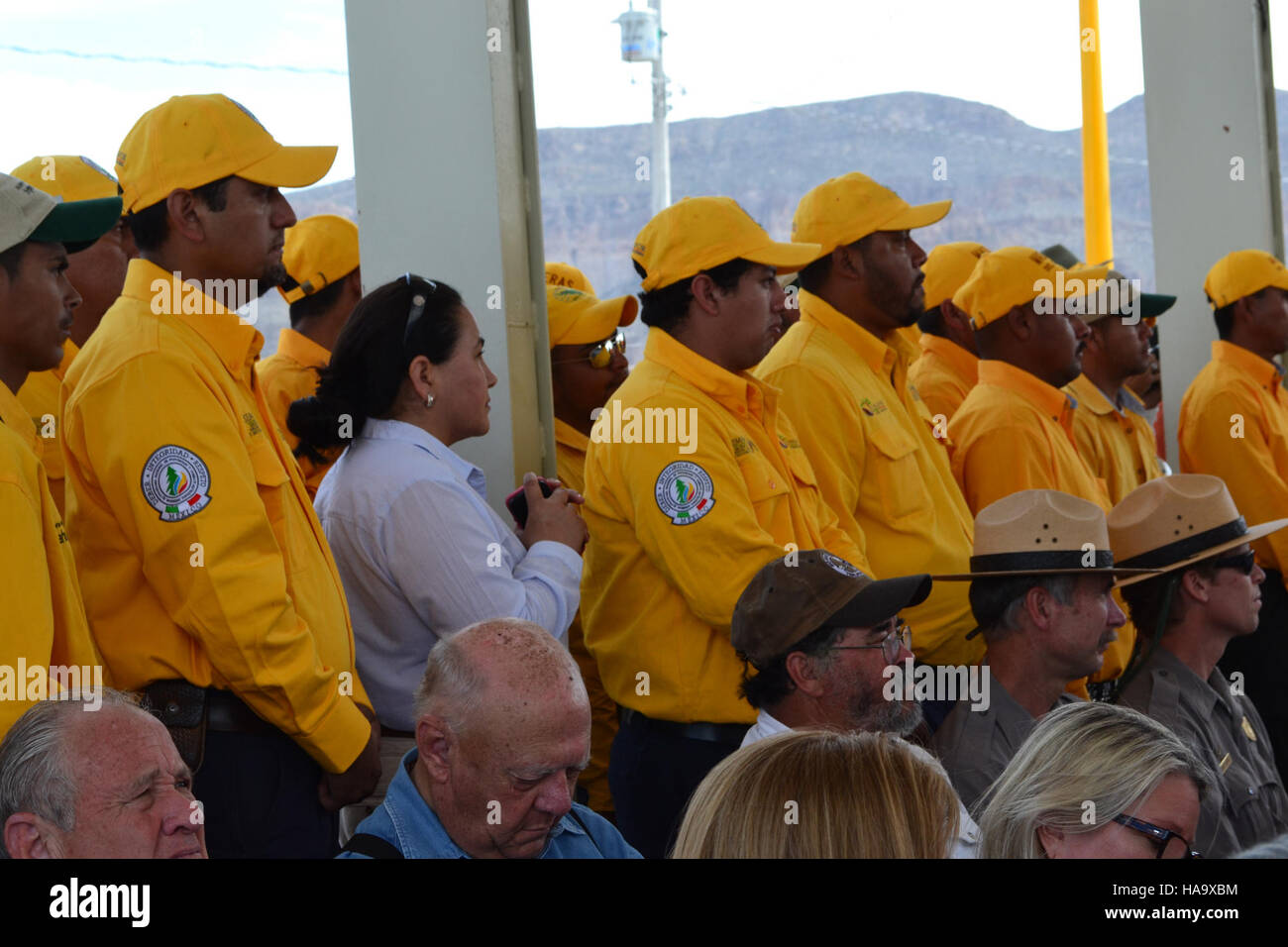Ein Teil des Big Bend National Park in Texas, der vielfältige Wüstenlandschaften, Tierwelt und geologische Formationen als Teil eines größeren Nationalparkökosystems zeigt. Stockfoto