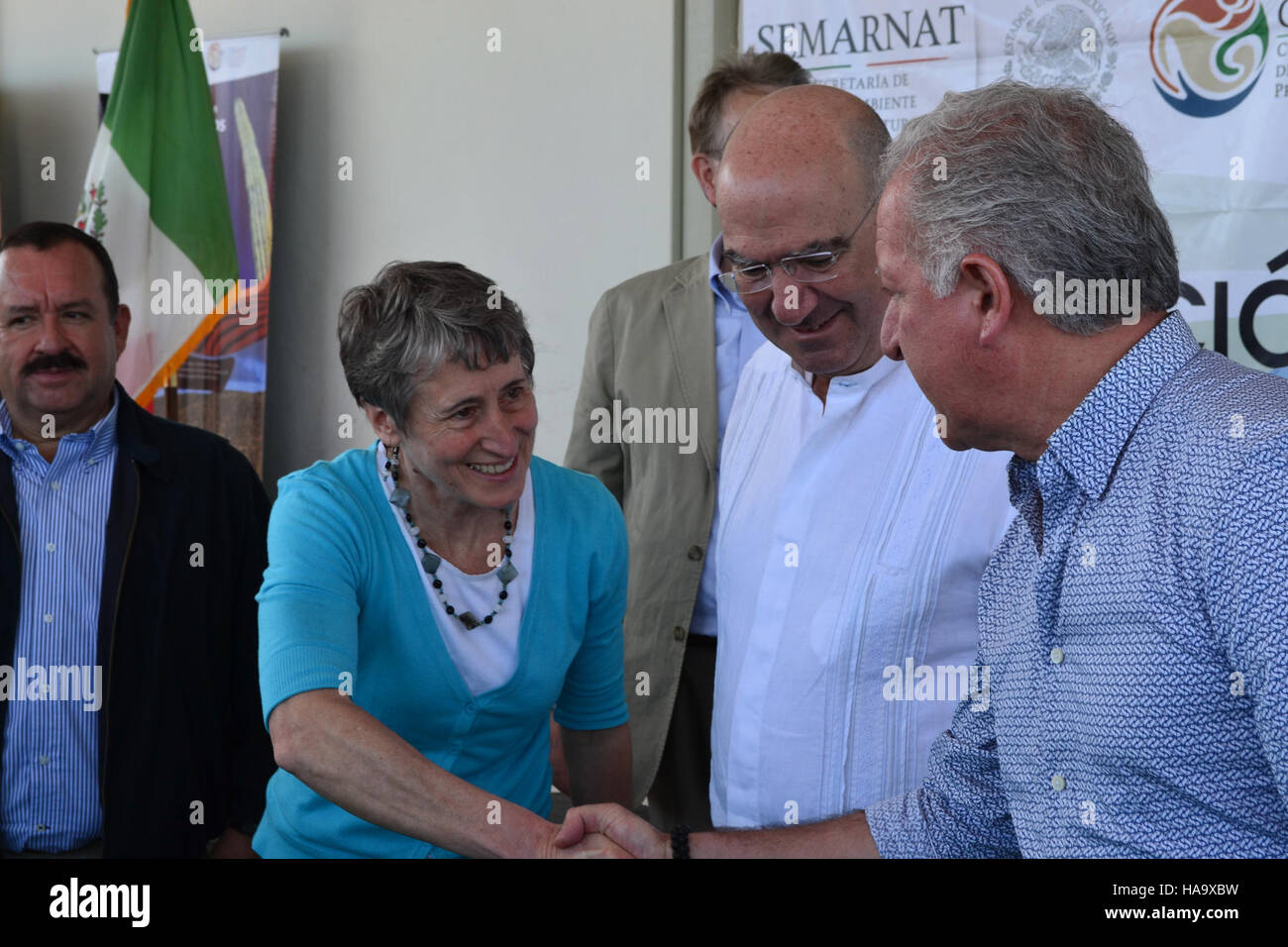 Der Big Bend National Park in Texas bietet einzigartige Wüstenlandschaften, eine reiche Artenvielfalt und ein kulturelles Erbe und ist damit ein Paradebeispiel für die Naturschutzbemühungen der US-amerikanischen Nationalparks. Stockfoto