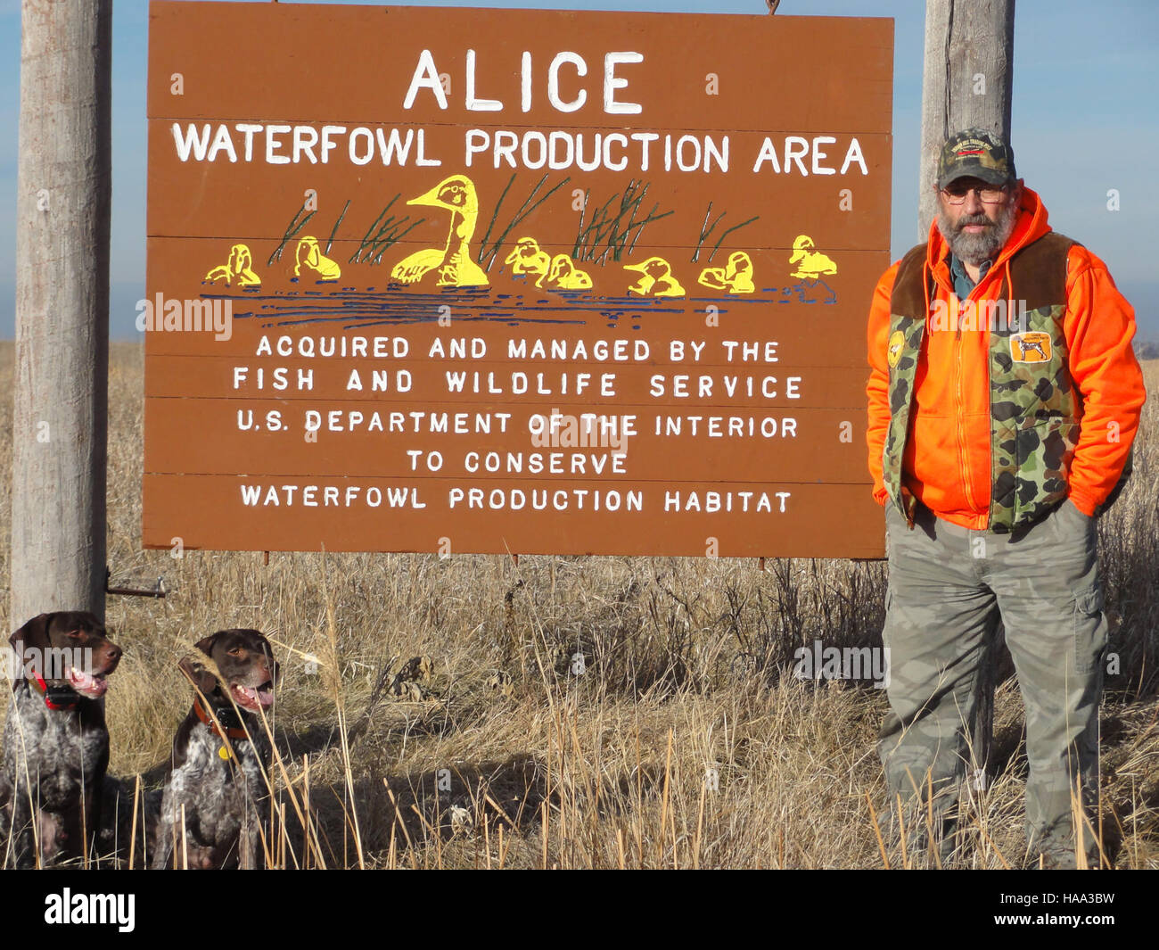 Usinterior 9129417316 erleben die Natur bei Alice Wasservögel Produktionsfläche in ND Stockfoto