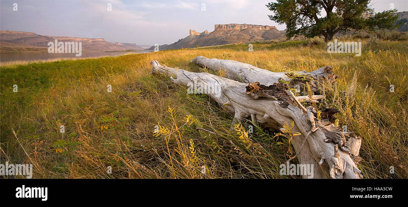 Usinterior 9133311905 The White Cliffs - oberen Missouri National Wild and Scenic River Stockfoto