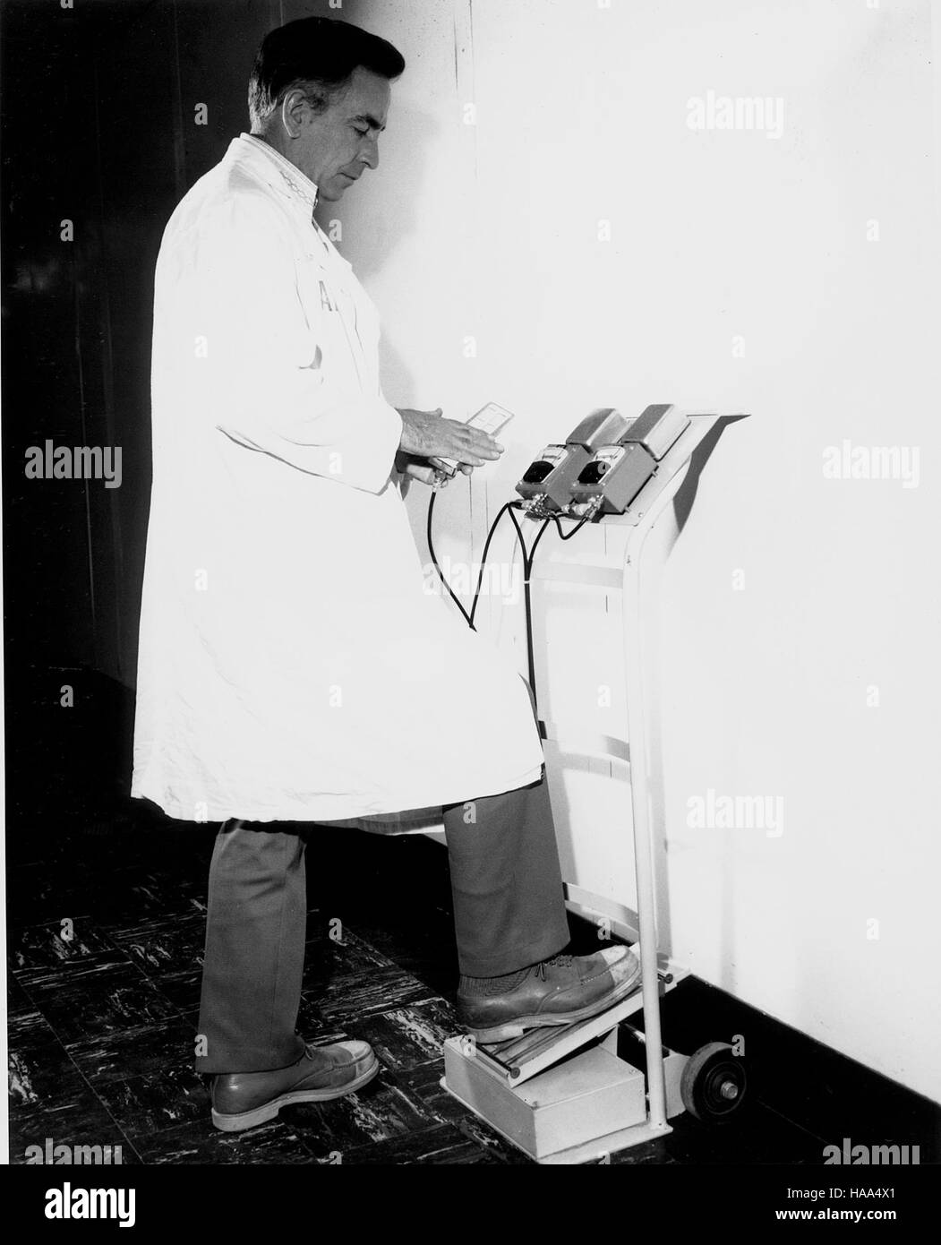 Dieses Bild zeigt einen malerischen Blick auf einen Nationalpark, wobei der Schwerpunkt auf die natürliche Schönheit und die vielfältigen Ökosysteme gelegt wird, die er schützt. Der Park ist bewirtschaftet, um seine ökologische Integrität zu bewahren und gleichzeitig wissenschaftliche Studien und Umweltschutz zu fördern. Stockfoto