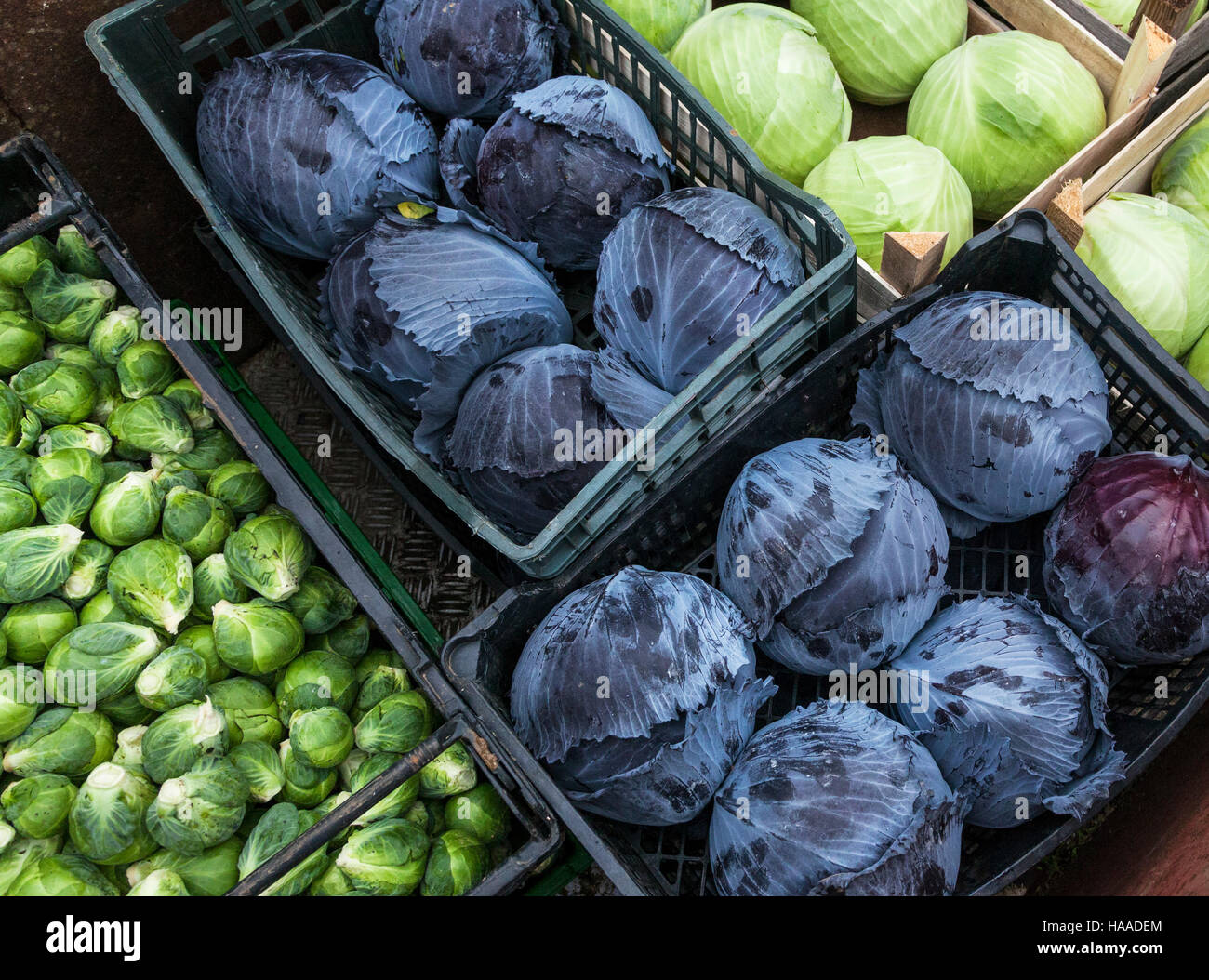 Frisches Gemüse Stockfoto
