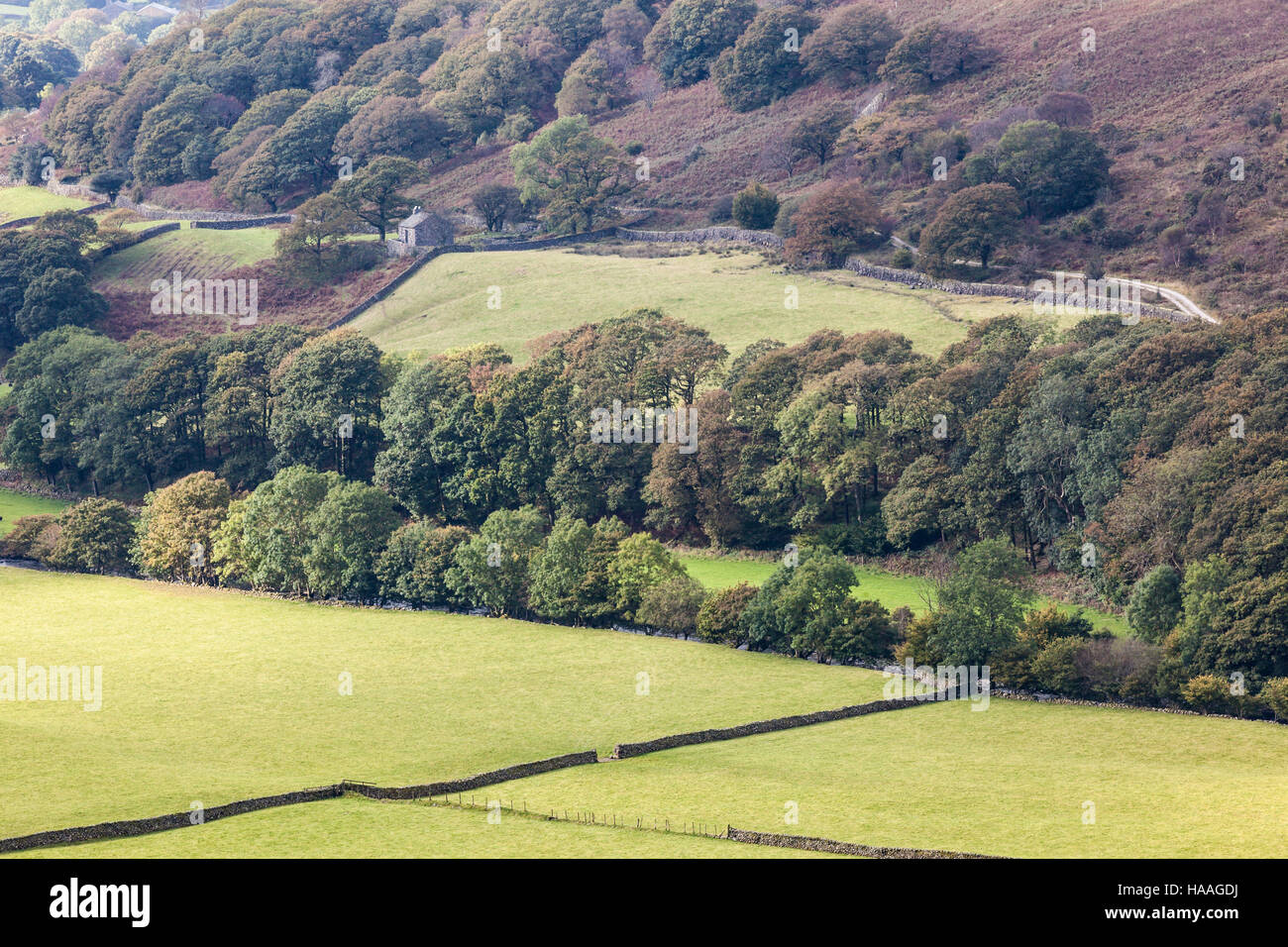 Eine alte Scheune im Bereich Eskdale des Lake District. Stockfoto