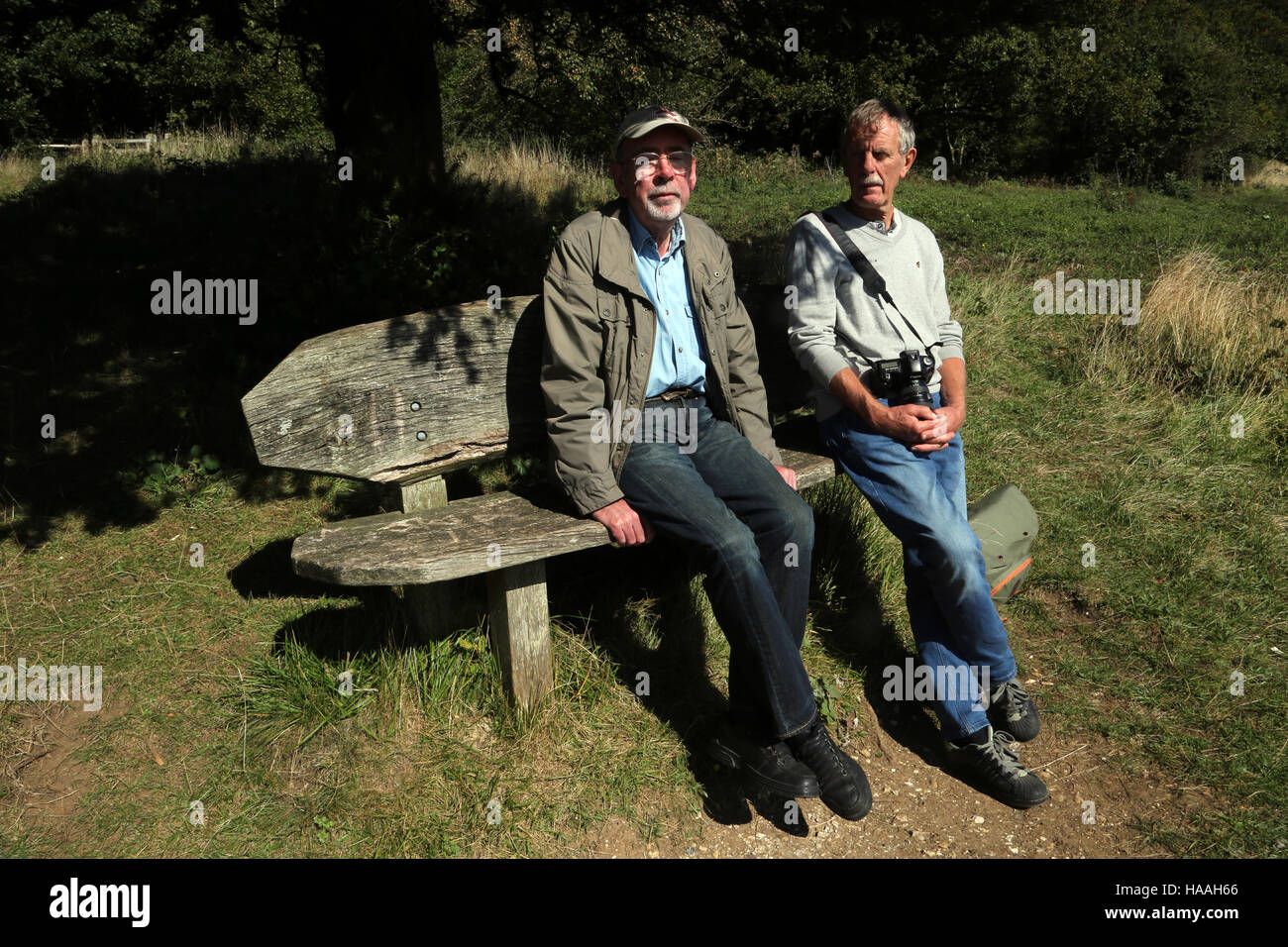 Surrey England Box Hill Zwei Männer Sitzen Auf Der Bank Unter Dem Baum Stockfoto