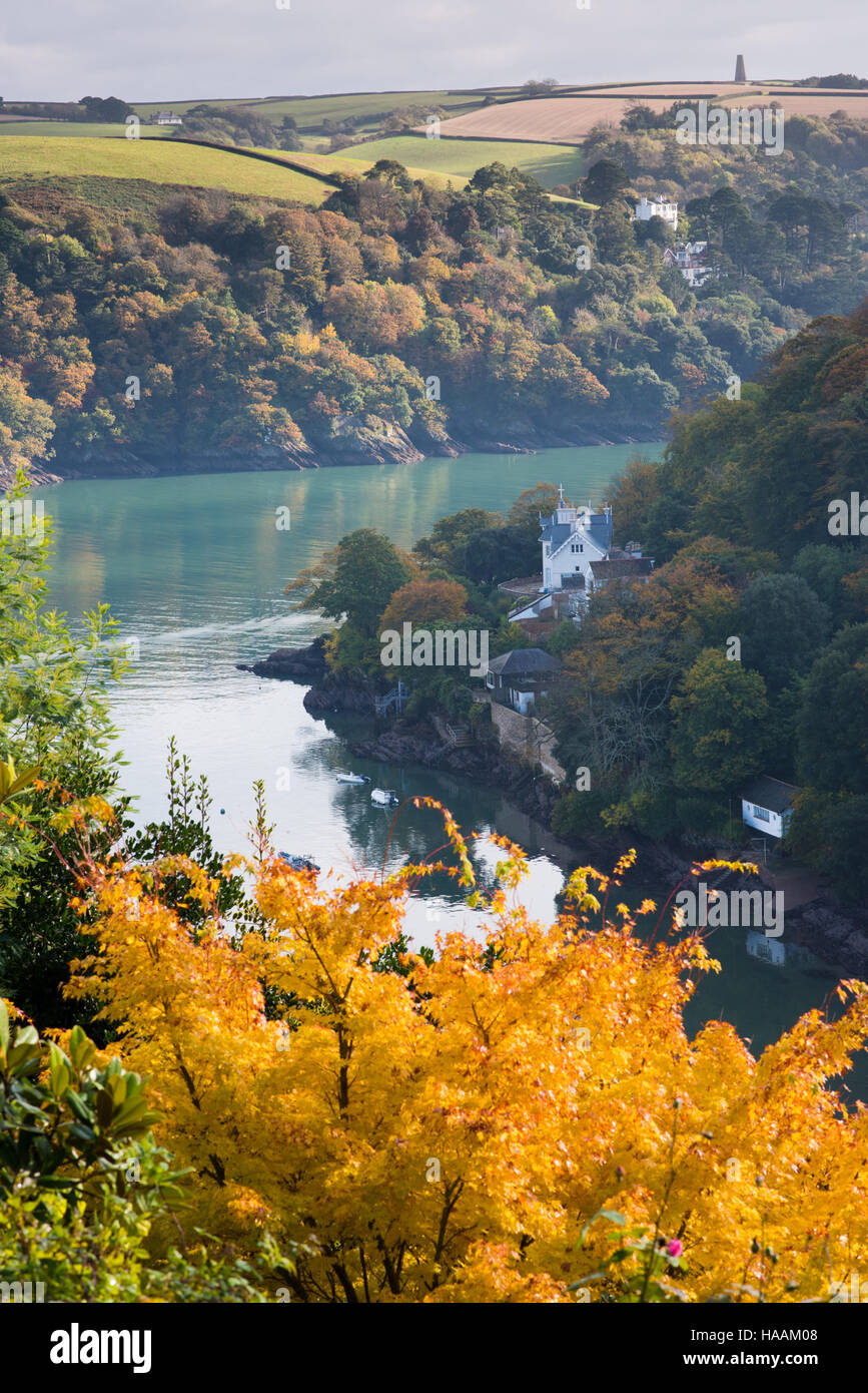 Schönen sonnigen herbstlichen Blick auf Kriegsflotte Creek auf dem River Dart in der Nähe von Dartmouth mit Bäumen drehen Gold und Hügel und Felder in der Ferne Stockfoto