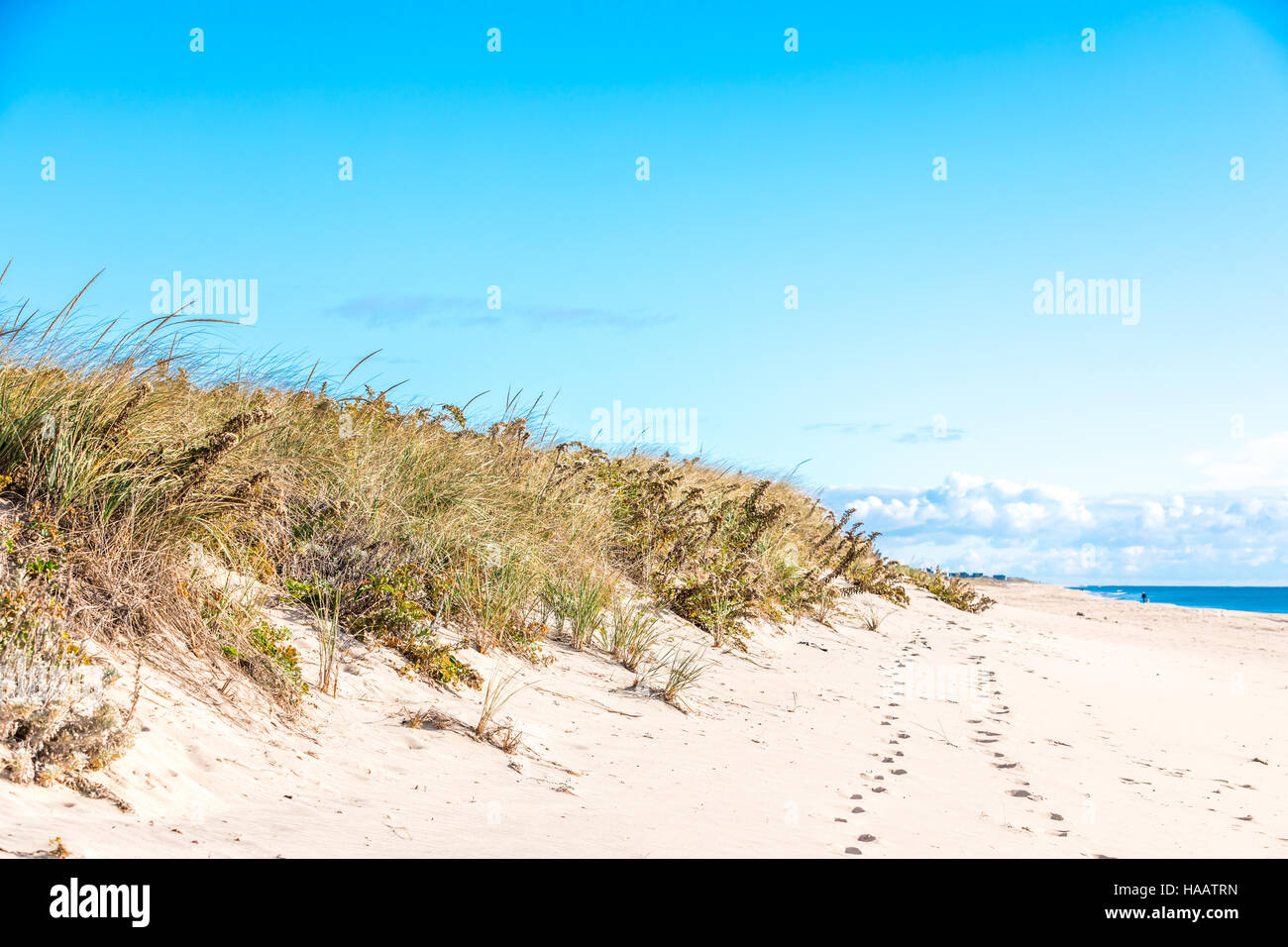 Ozeanstrand mit Fussspuren im Sand, Strandhafer und entfernte Meer und Wolken Stockfoto