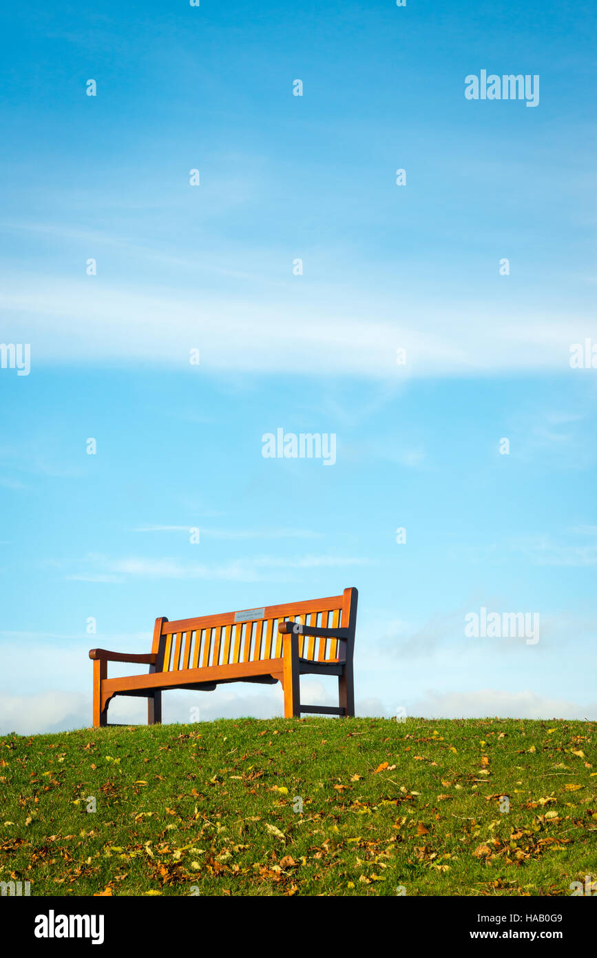 Irland Herbstlandschaft mit einsitzigen Bank im Park auf hell Sonniger Herbsttag Stockfoto
