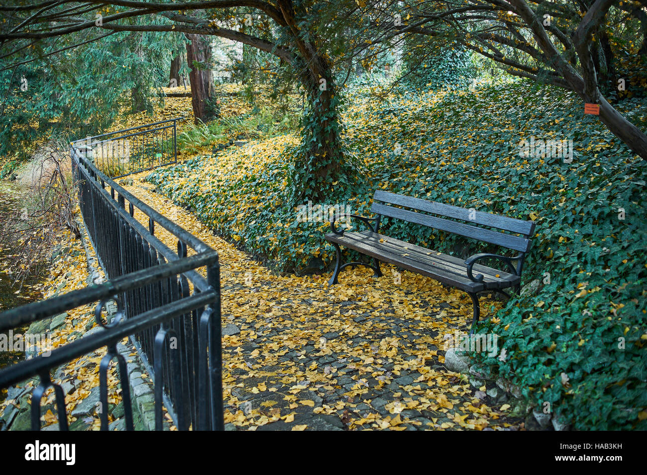 Herbstliche Stille leere Einsamkeit botanischen Garten fallen Wroclaw Stockfoto