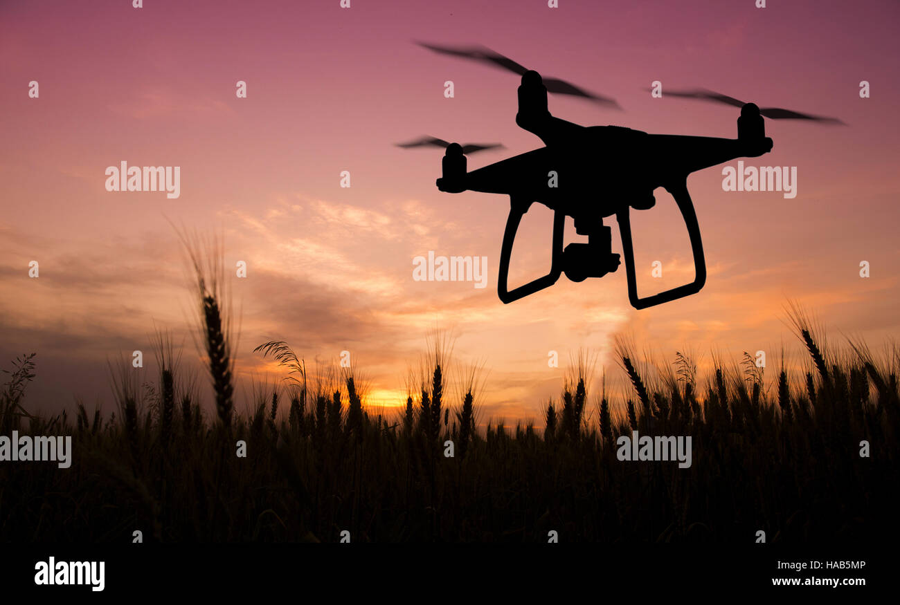 Silhouette von fliegenden Drohne fotografieren der Natur bei Sonnenuntergang Stockfoto
