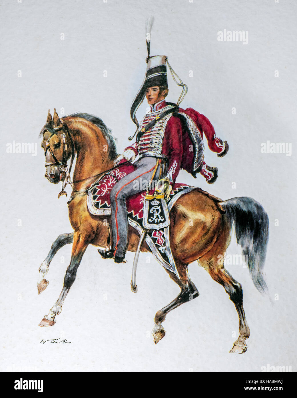 Husaren-Offizier auf dem Pferderücken in Uniform des Regiments 1845 Bluchersches Huzaren / GL. von Blücher, Königreich Preußen Stockfoto