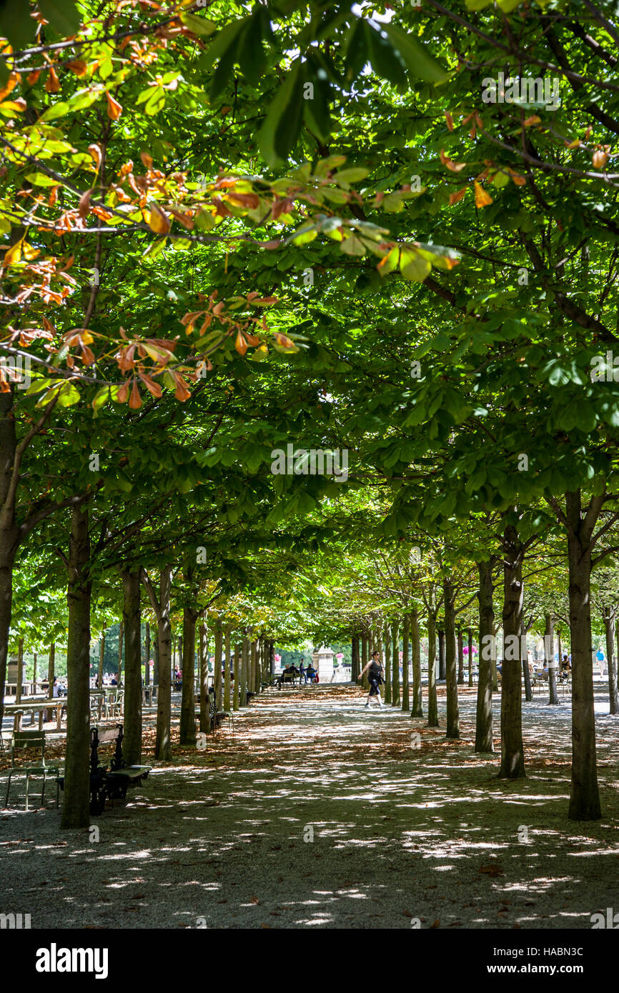 Jardin du Luxembourg in Paris, Frankreich Stockfoto