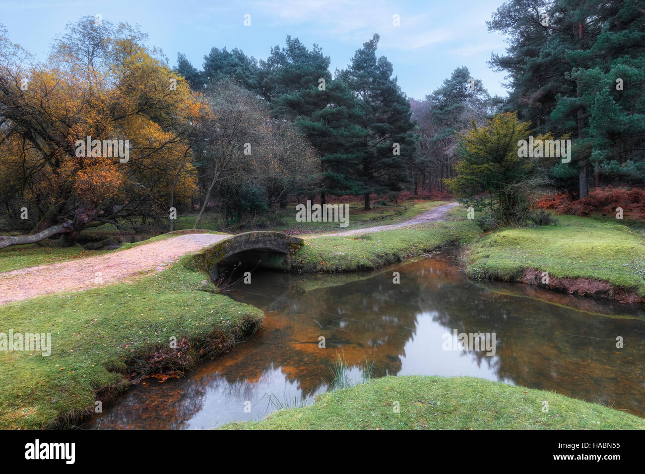 Splash-Brücke, Holly Luke Einzäunung, New Forest, Hampshire, England, UK Stockfoto