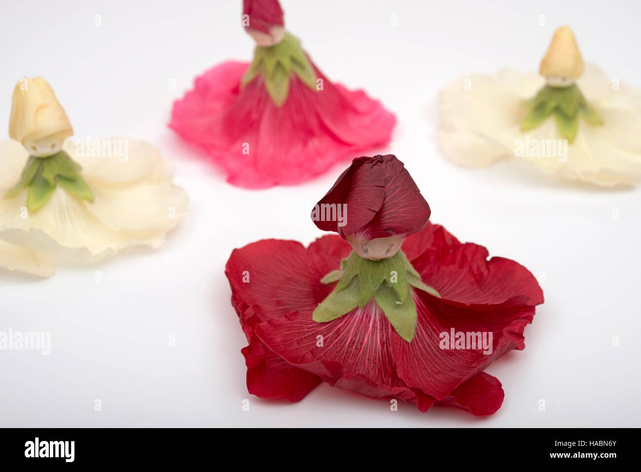 Malve Blumen in Miniatur Ballerinas Stockfoto