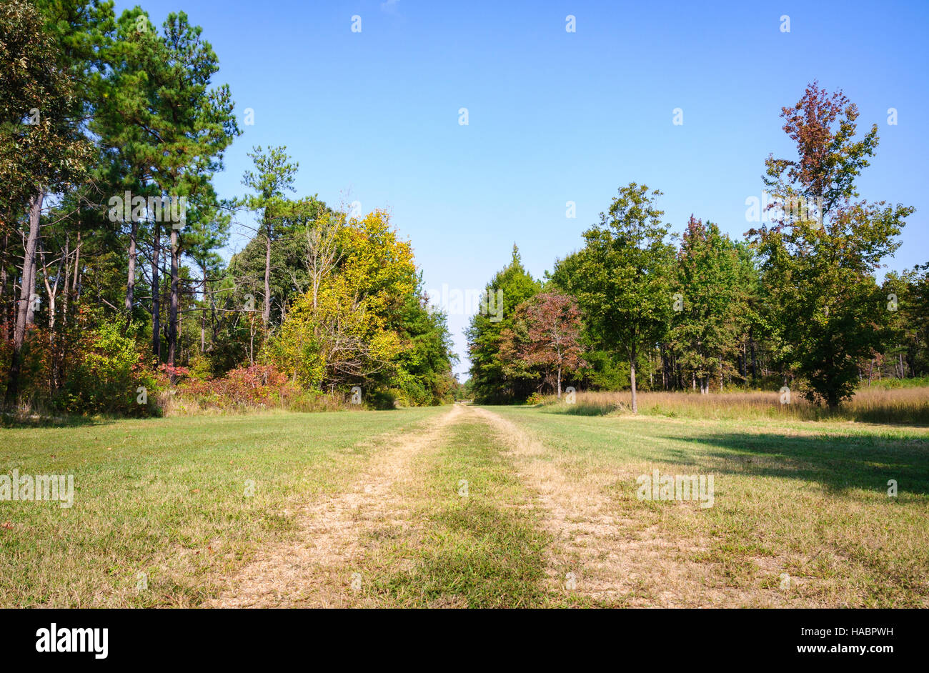 Cowpens National Battlefield Park Stockfoto