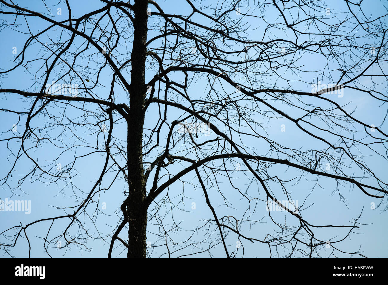 Cowpens National Battlefield Park Stockfoto