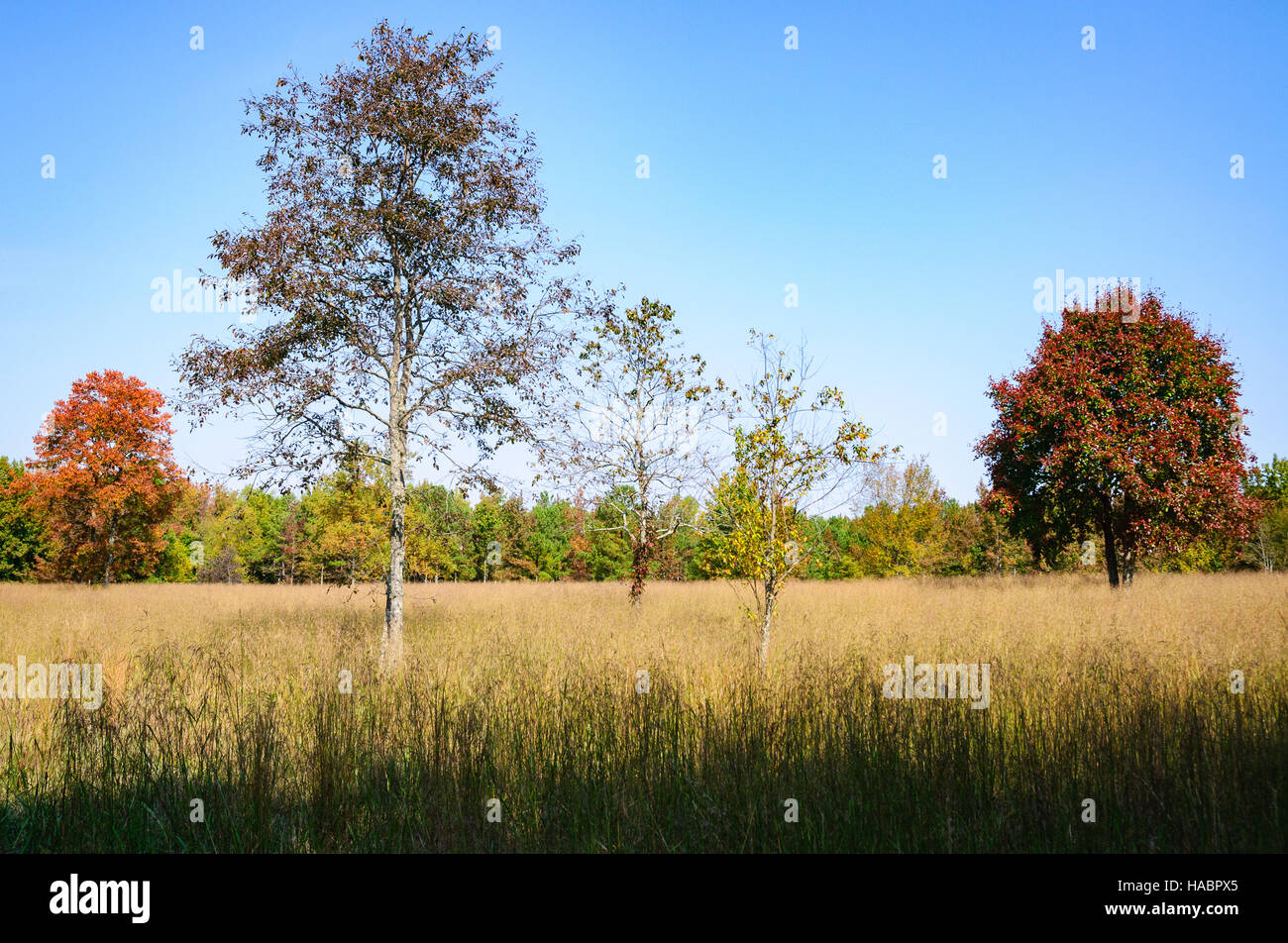 Cowpens National Battlefield Park Stockfoto