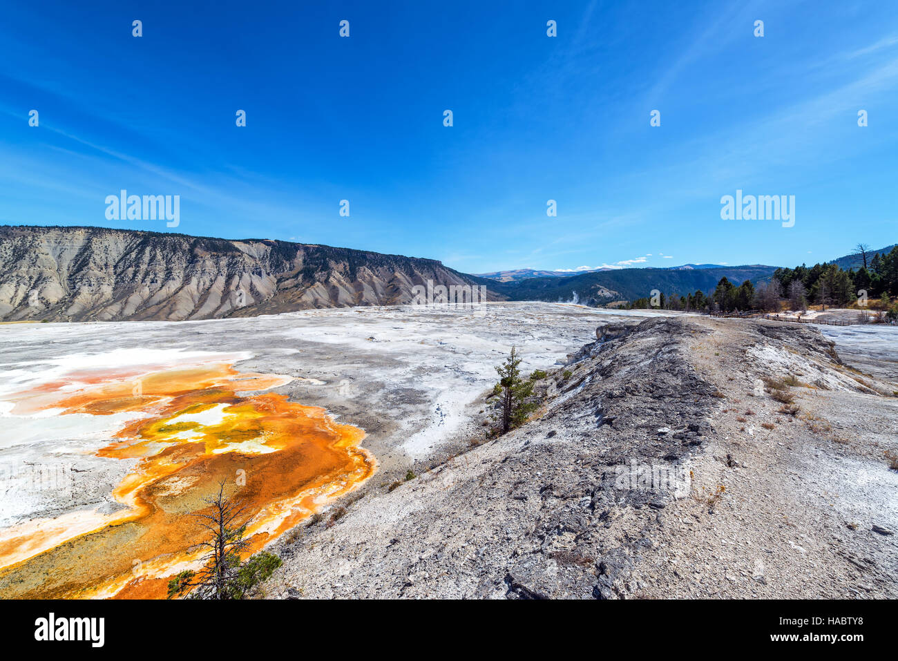 Schöne Bakterien Matte und Landschaft in der Nähe von Mammoth Hot Springs im Yellowstone-Nationalpark Stockfoto