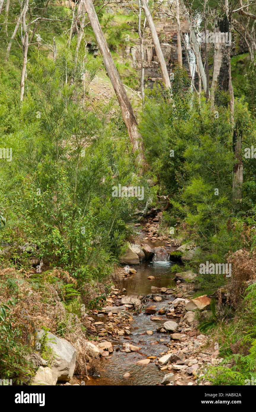 Silverband Creek, Grampians, in der Nähe von Halls Gap, Victoria, Australien Stockfoto