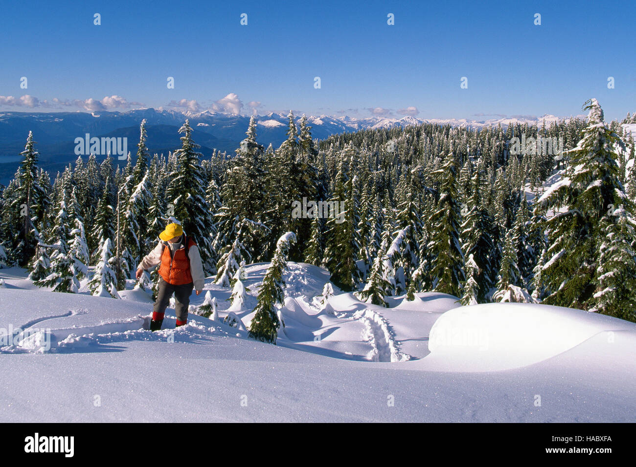 Zypresse-provinzieller Park, West Vancouver, BC, Britisch-Kolumbien, Kanada - Wanderer Wandern im Schnee am Black Mountain, Winter Stockfoto