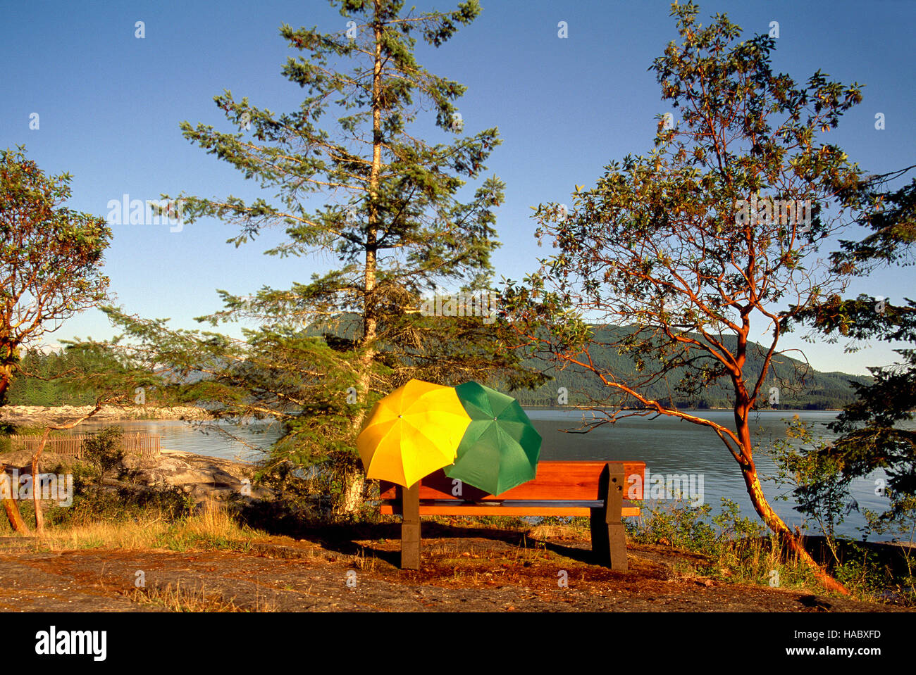 Saltery Bay Provincial Park in der Nähe von Powell River auf Sunshine Coast, British Columbia, Kanada - zwei Regenschirme auf Bank, Mermaid Cove Stockfoto