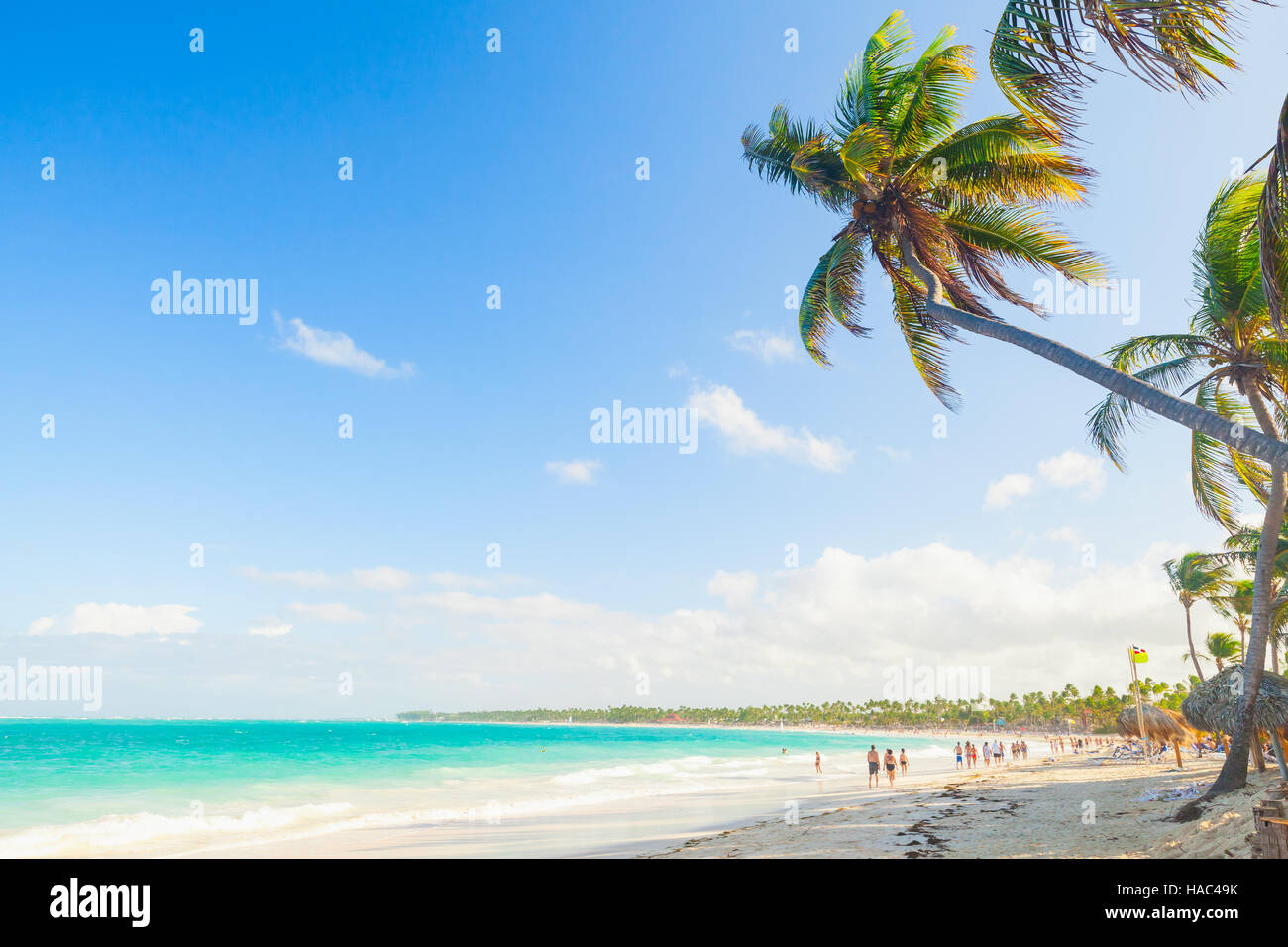 Palmen am Sandstrand. Küste des Atlantischen Ozeans, Dominikanische Republik, Punta Cana Stockfoto
