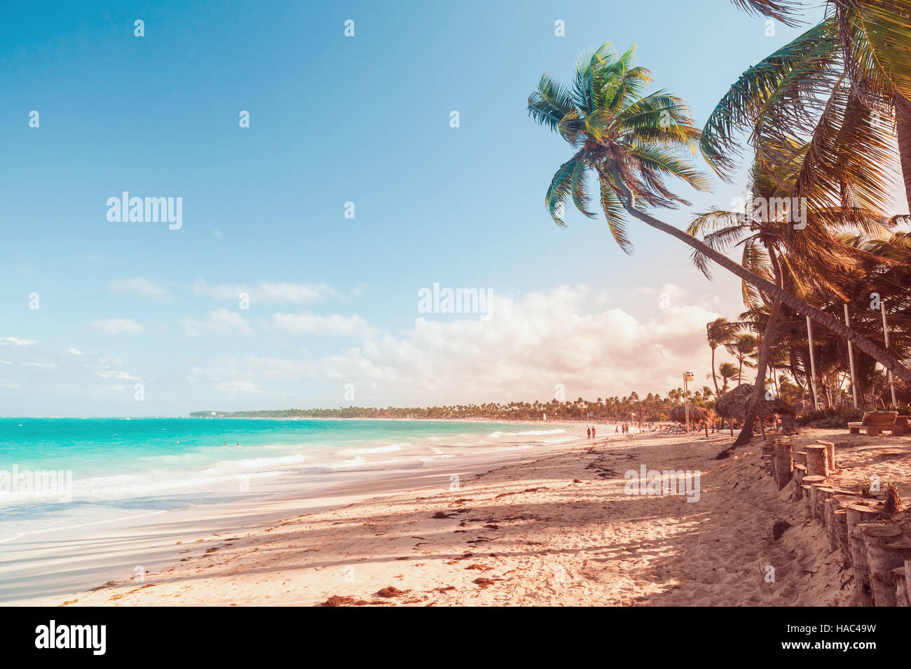 Palmen am Sandstrand. Küste des Atlantischen Ozeans, Dominikanische Republik, Punta Cana Resort. Roten Tonwertkorrektur, Gradienten-Filter-Effekt Stockfoto