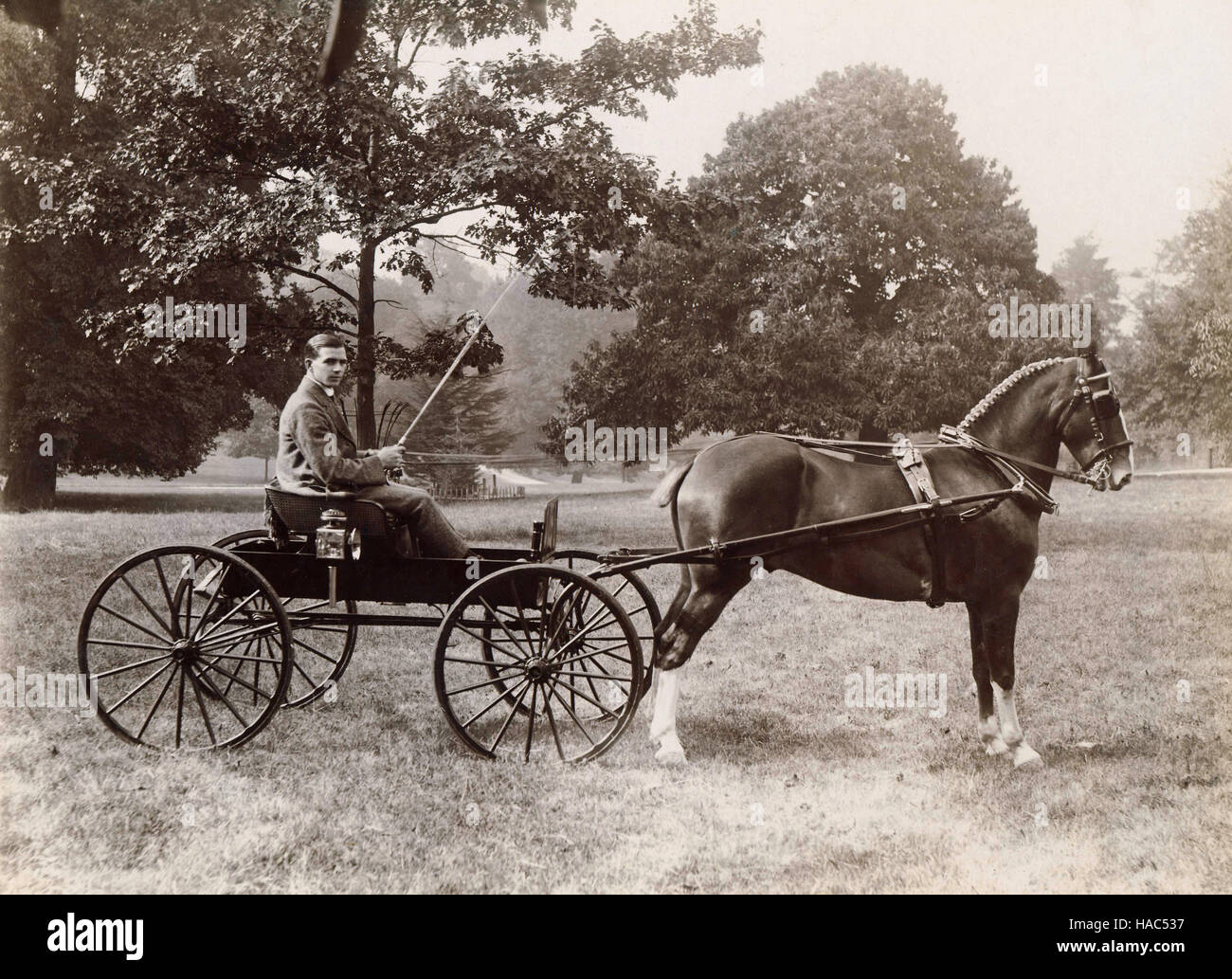 Historisches Archiv Bild des Mannes mit Pony und Falle bei Ross-on-Wye, Herefordshire, England 1900. Stockfoto