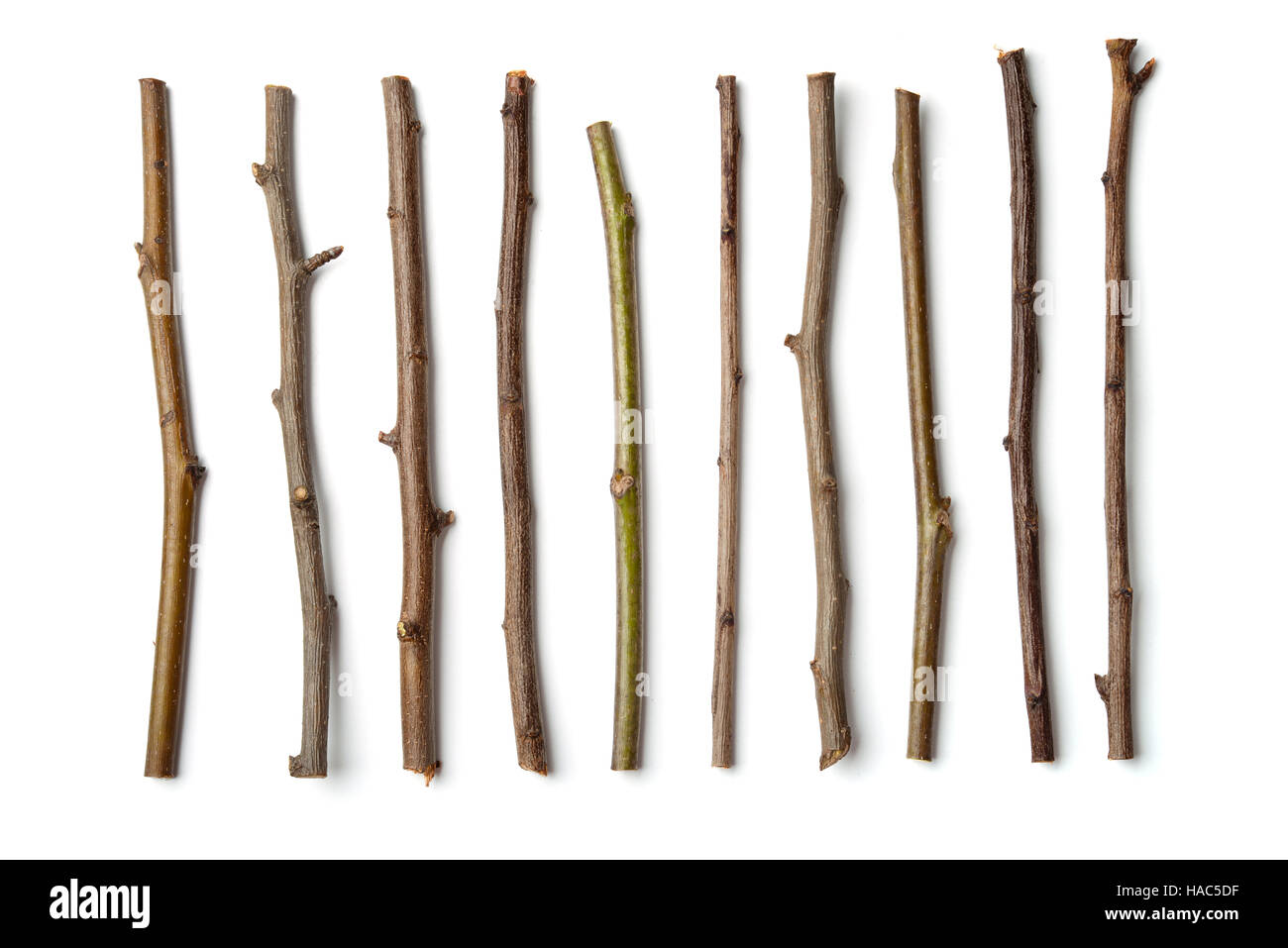 Reihe von trockenen Holz Zweigen isoliert auf weiss Stockfoto