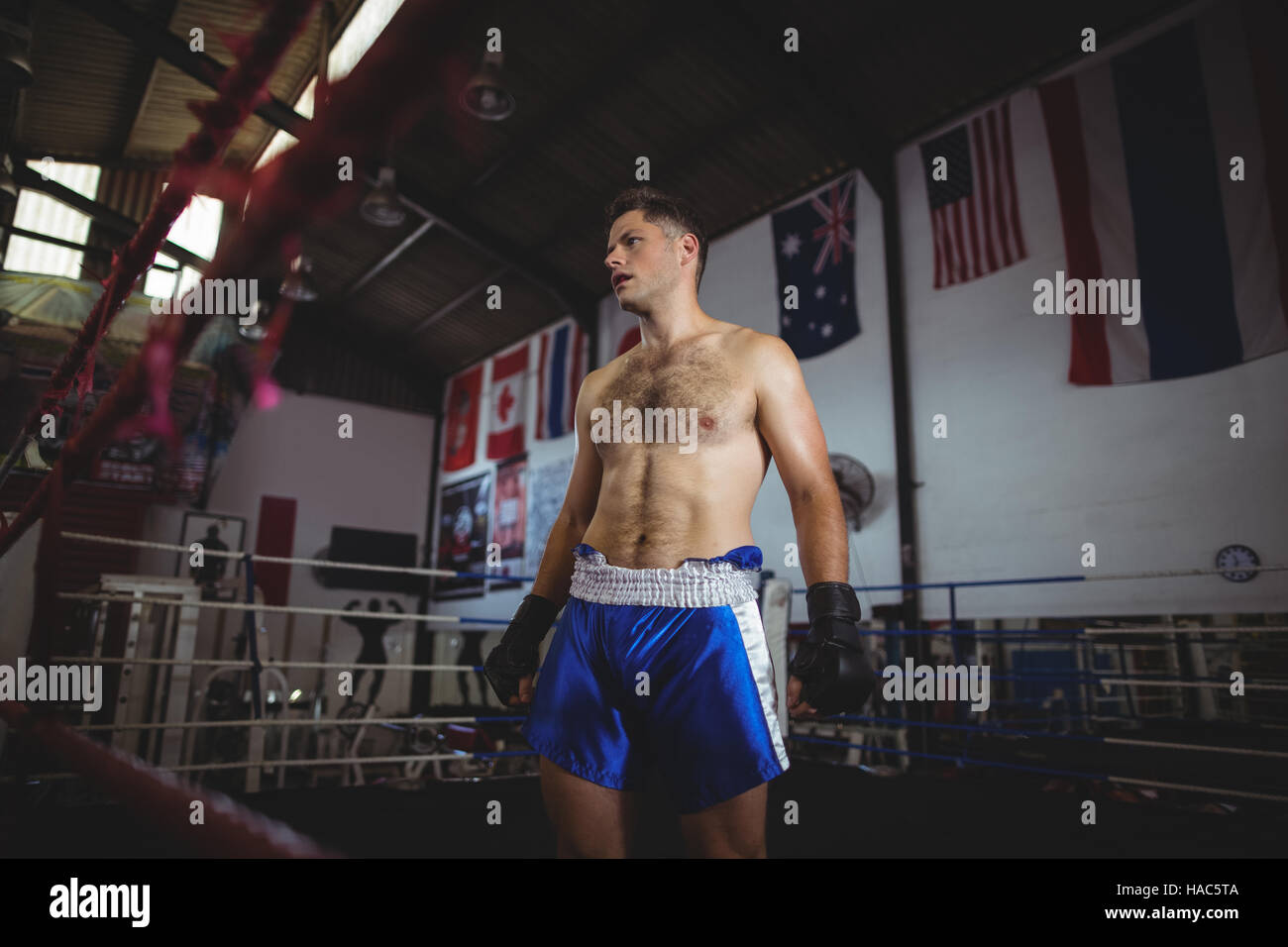 Boxer stehen im Boxring Stockfoto