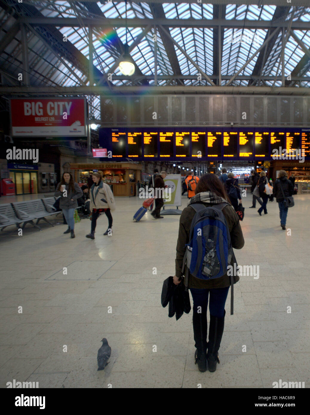 Backpacker mit Taube in Großstadt Glasgow central train Station telefonieren suchen Ankünfte board Stockfoto