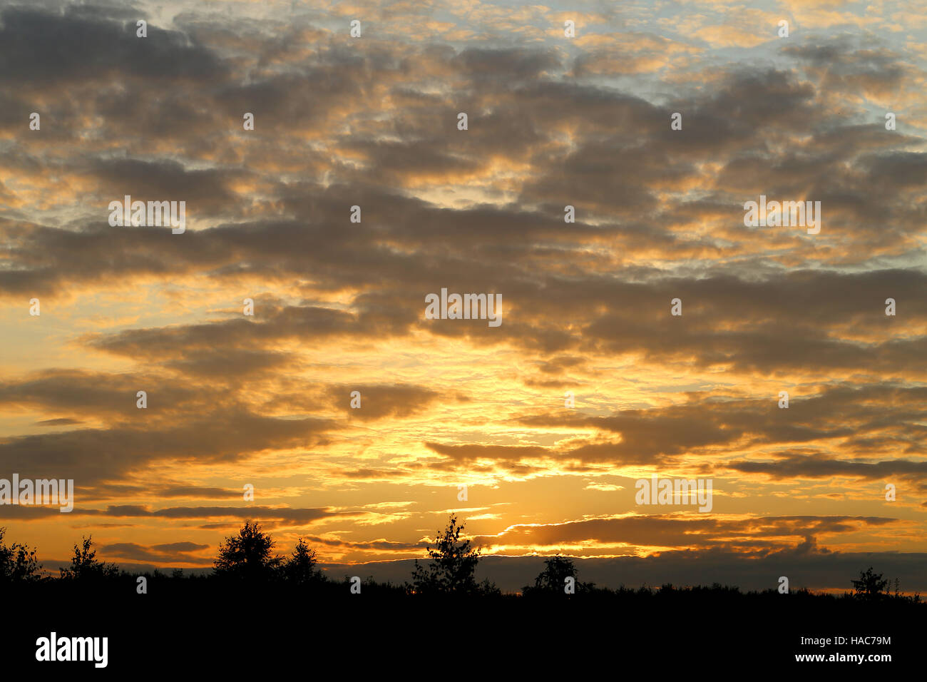Fotos hellen wunderschönen Sonnenuntergang über dem Wald Stockfoto
