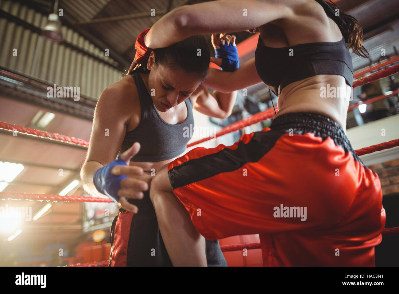 Boxerinnen Kämpfe im Boxring Stockfoto