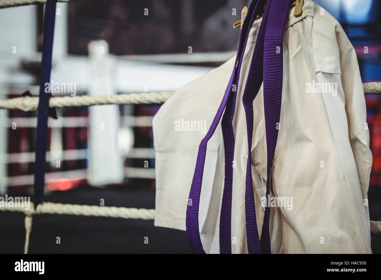 Einheitliche und lila Gürtel Karate im Boxring Stockfoto