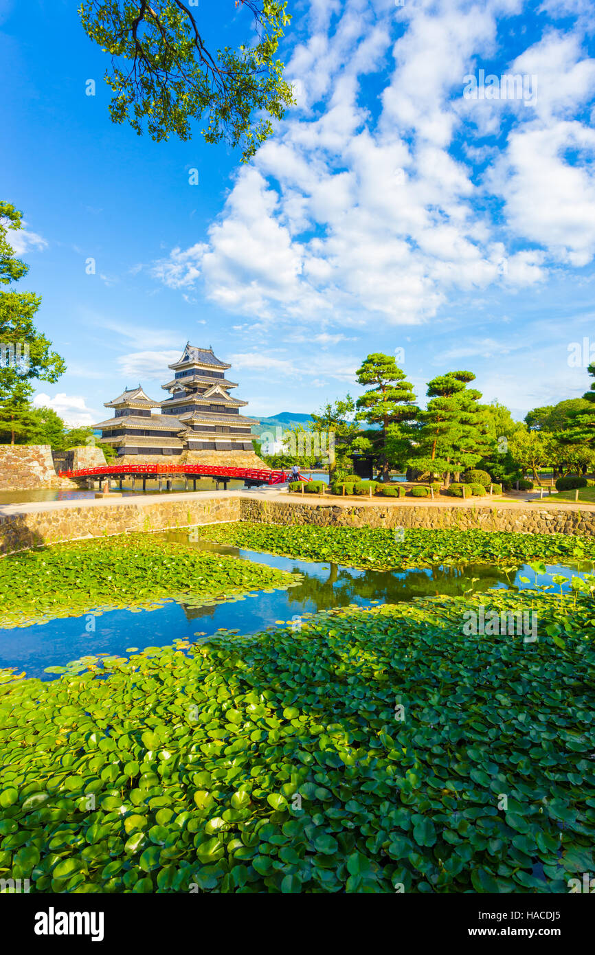 Kleinen Teich mit Seerosen im Vordergrund der alten behalten sich Jo Burg Matsumoto Sommertag mit Wolken in Japan Stockfoto
