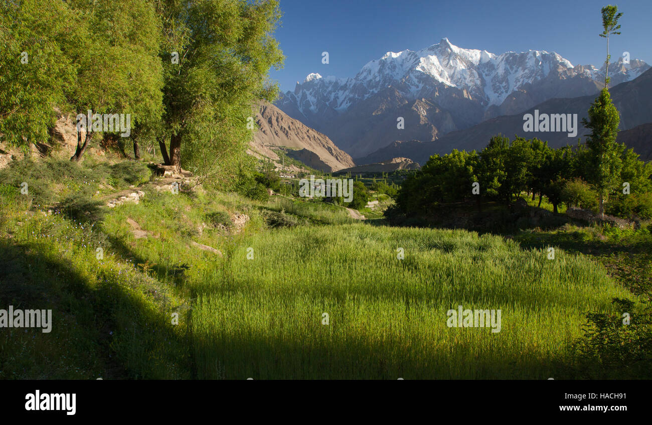 malerische Landschaft genommen im Trichter-Tal in Hunza Gegend, Nord-Pakistan Stockfoto