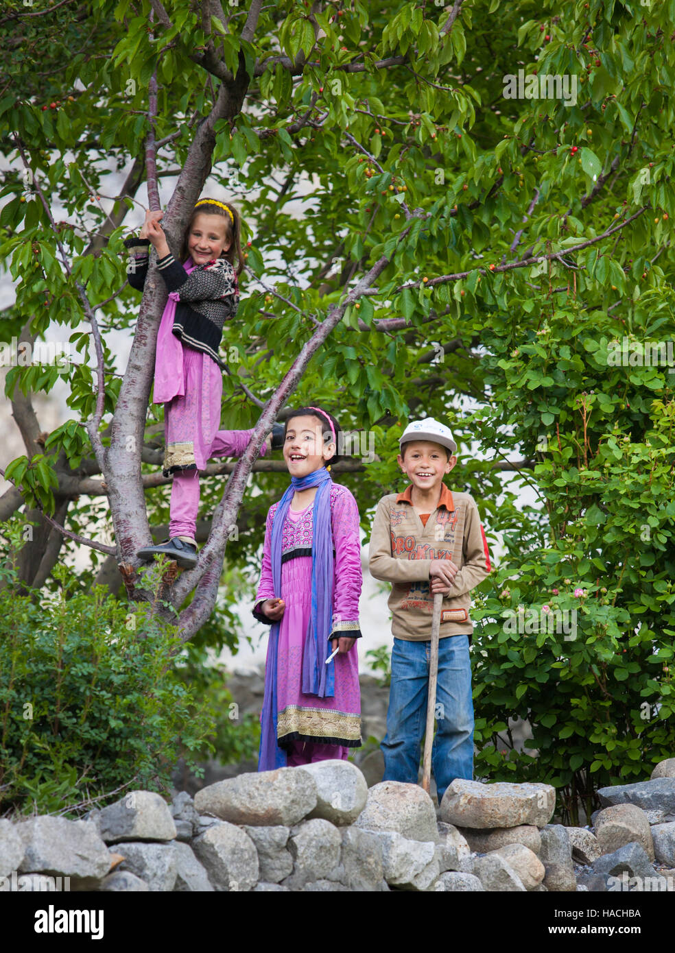 unschuldige Kinder Lächeln unter Kirschbäumen in Passu, Nortern Pakistan Stockfoto