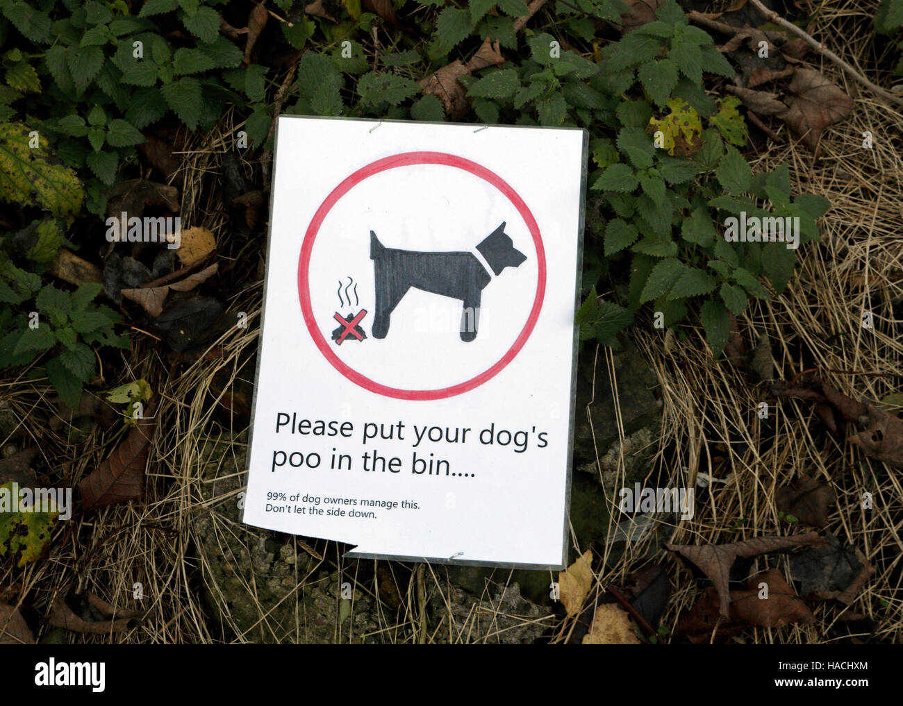 Hausgemachtes Schild für Hundebesitzer, um die Chaos-Dog-Kacke aufzuräumen Stockfoto