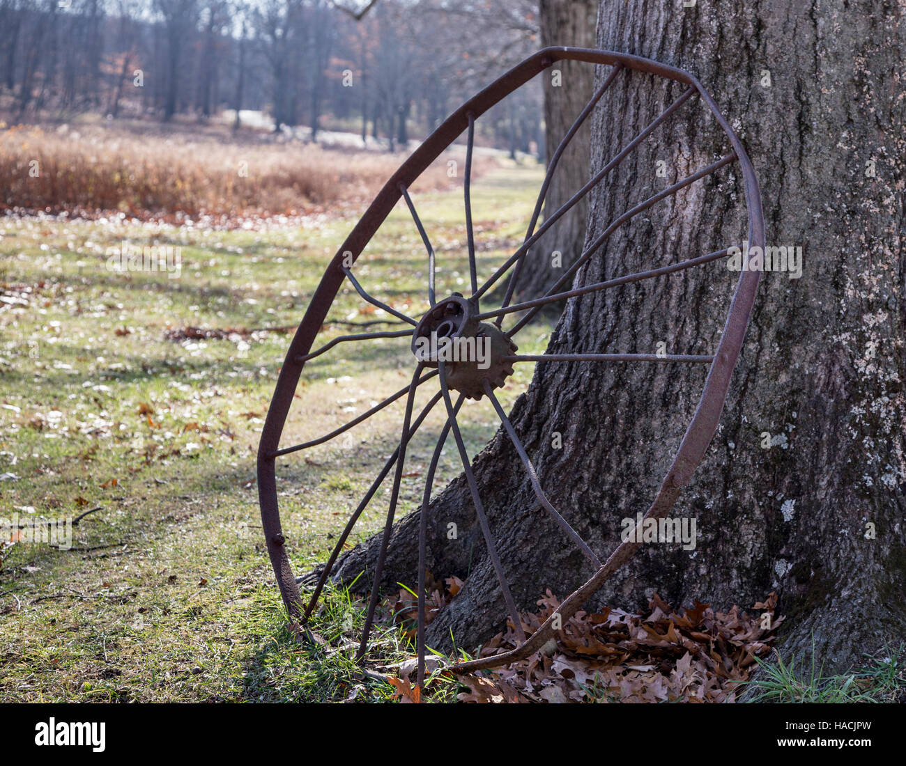 Eine alte Eisenrad Stockfoto