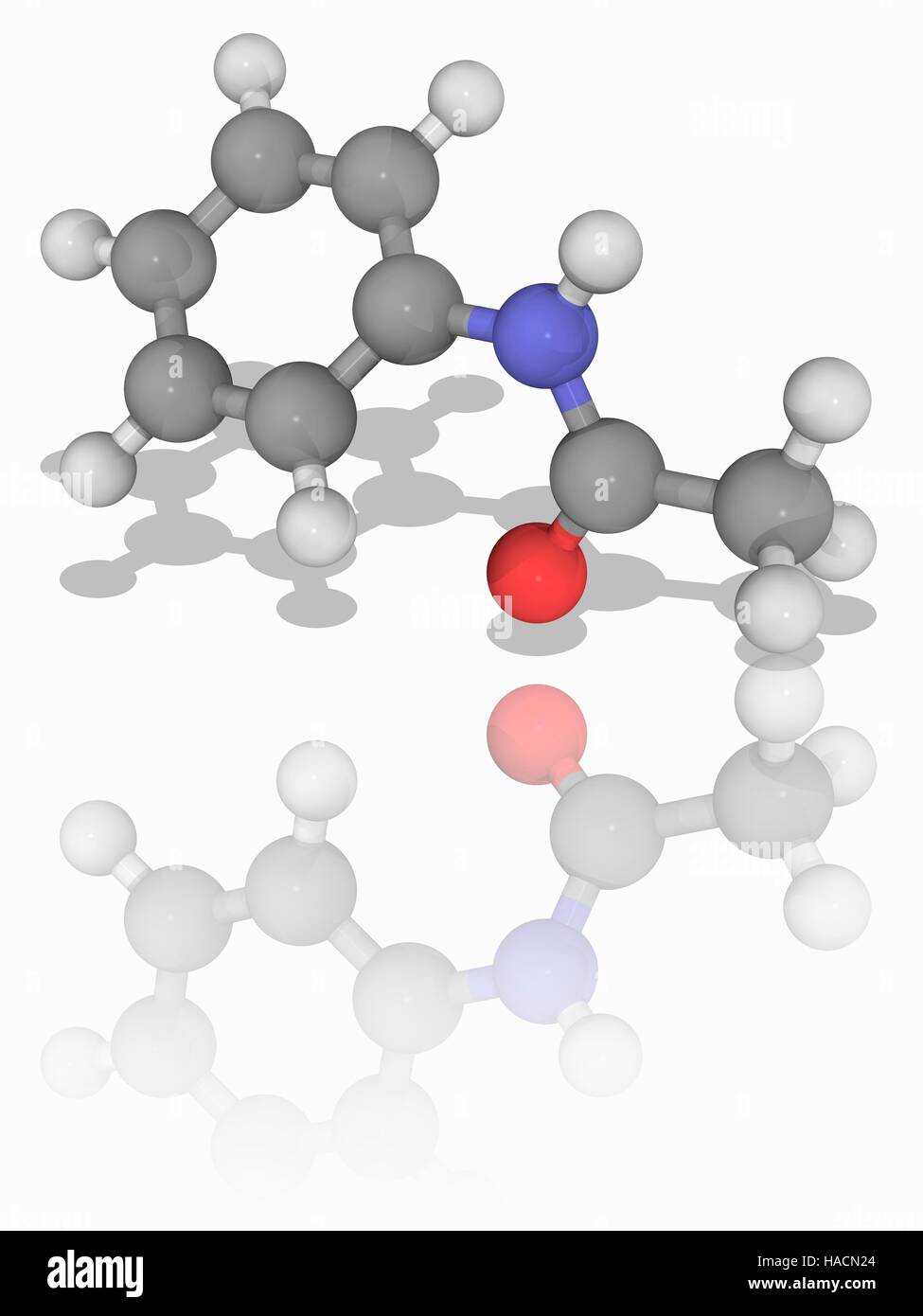 Acetanilid. Molekülmodell Acetanilid (C8. H9. Navi), auch benannt N-Phenylacetamide. Diese Chemikalie wurde einst als Analgetikum verwendet und dient heute als chemischen Stabilisator. Atome als Kugeln dargestellt werden und sind farblich gekennzeichnet: Kohlenstoff (grau), Wasserstoff (weiß), Stickstoff (blau) und Sauerstoff (rot). Abbildung. Stockfoto