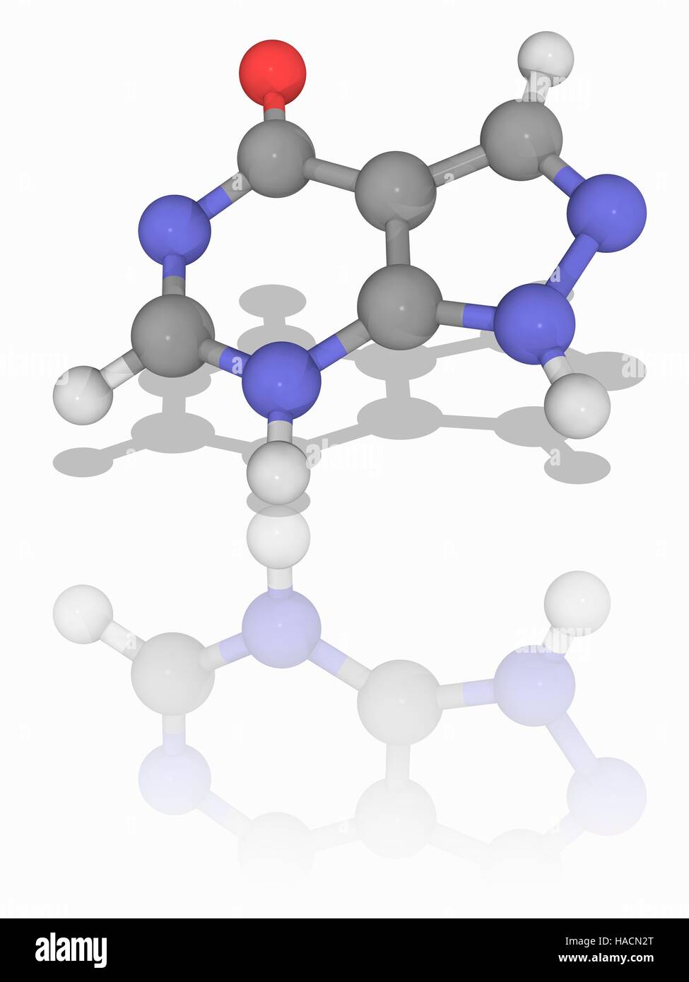 Allopurinol. Molekulares Modell des Medikament Allopurinol (C5. H4. N4.  (O), ein Purin-Analogon zur Behandlung von Hyperurikämie (überschüssige  Harnsäure im Blut) und Gicht verwendet. Atome als Kugeln dargestellt werden  und sind farblich gekennzeichnet: