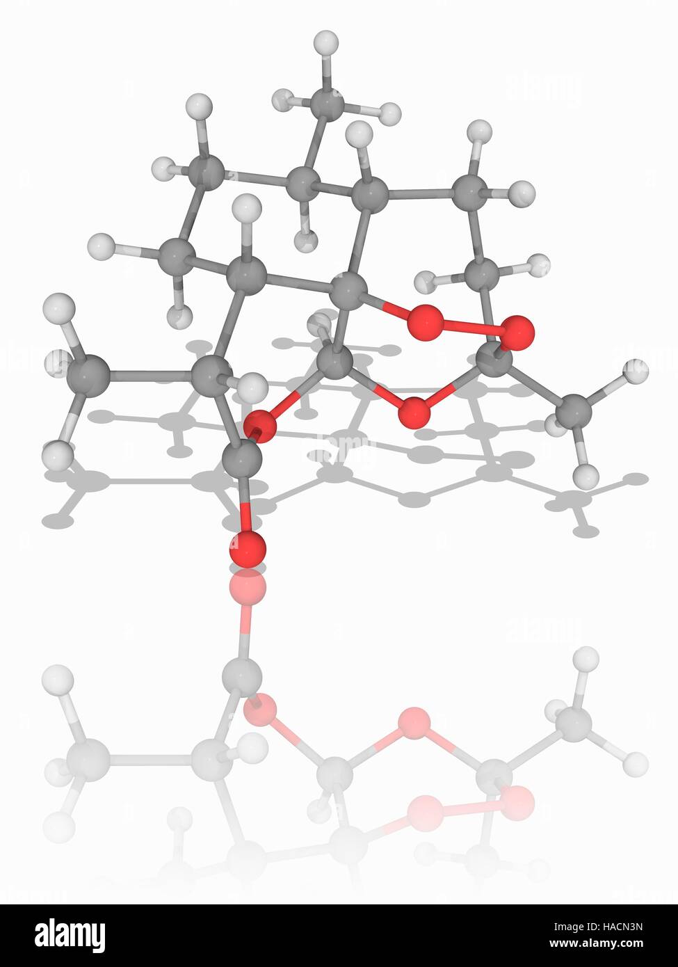 Artemisinin. Molekülmodell des Malaria-Medikament Artemisinin (C15. H22. O5). Standard Malaria-Behandlungen beinhalten dieses Medikament und sind bekannt als Artemisinin-Kombinationstherapien (Apg). Atome als Kugeln dargestellt werden und sind farblich gekennzeichnet: Kohlenstoff (grau), Wasserstoff (weiß) und Sauerstoff (rot). Abbildung. Stockfoto