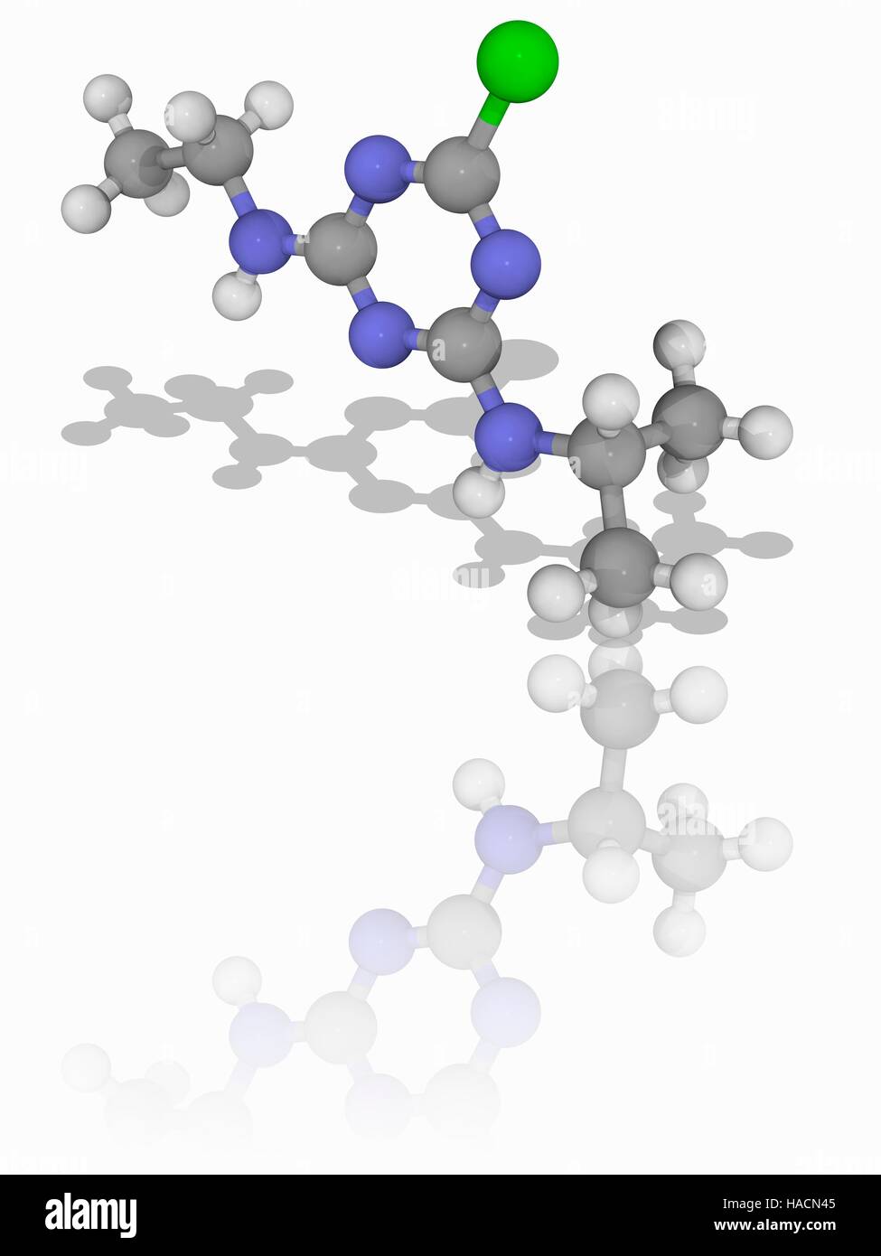 Atrazin. Molekülmodell der organischen Verbindung Atrazin (C8.H14.Cl.N5), als ein Herbizid verwendet. Diese Chemikalie ist weltweit weit verbreitet, obwohl es in der Europäischen Union verboten. Atome als Kugeln dargestellt werden und sind farblich gekennzeichnet: Kohlenstoff (grau), Wasserstoff (weiß), Stickstoff (blau) und Chlor (grün). Abbildung. Stockfoto