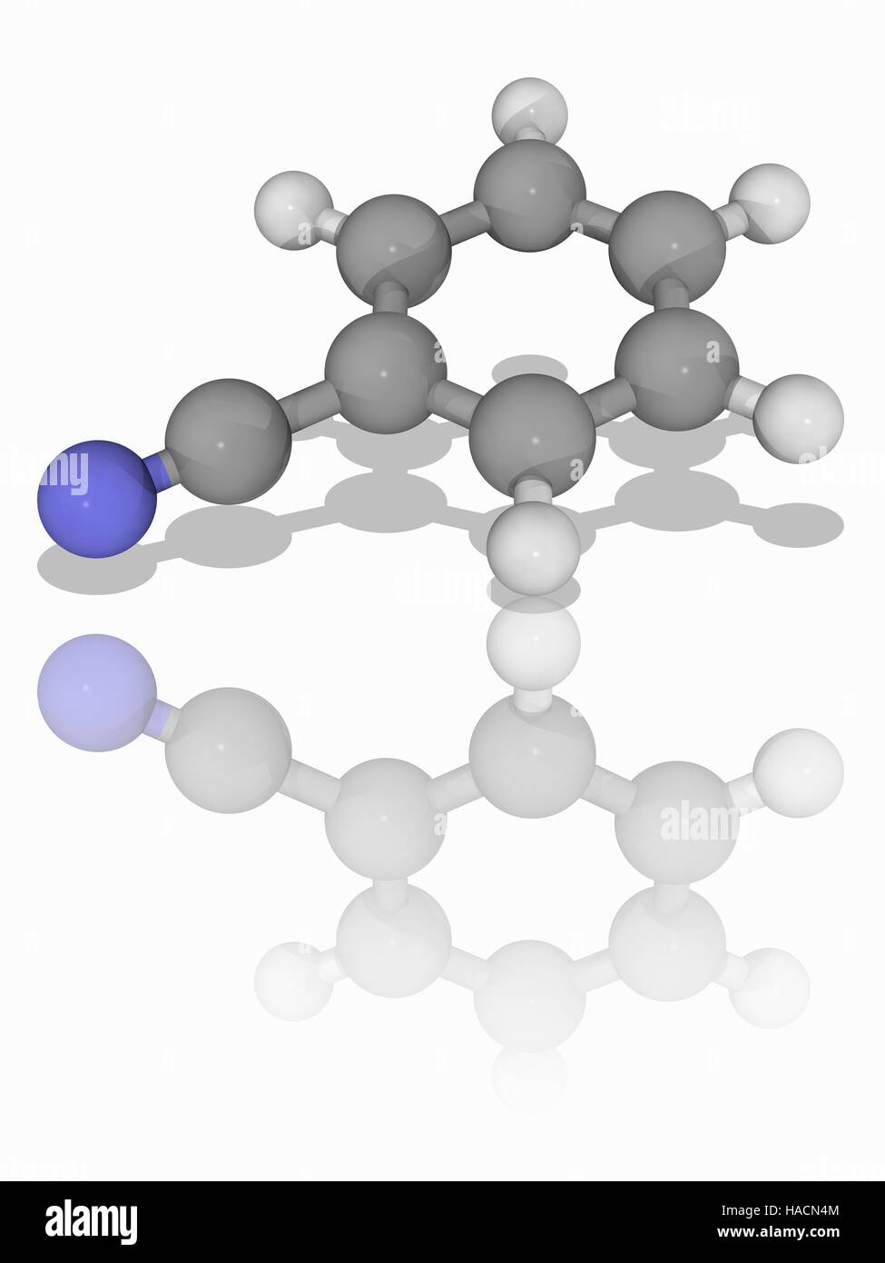 Benzonitril. Molekulares Modell des aromatische organische Verbindung Benzonitril (C7. H5. (N). es ist eine wichtige Vorstufe für die Synthese von anderen organischen Substanzen. Es hat einen süßen Mandel Geruch. Atome als Kugeln dargestellt werden und sind farblich gekennzeichnet: Kohlenstoff (grau), Wasserstoff (weiß) und Stickstoff (blau). Abbildung. Stockfoto