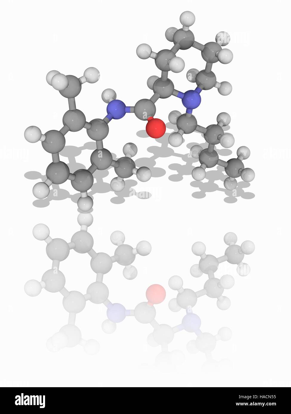 Bupivacain. Molekülmodell der Lokalanästhesie Wirkstoff Bupivacain (C18. H28. N2. (O). es wird eingestuft als ein amino Amid. Atome als Kugeln dargestellt werden und sind farblich gekennzeichnet: Kohlenstoff (grau), Wasserstoff (weiß), Stickstoff (blau) und Sauerstoff (rot). Abbildung. Stockfoto