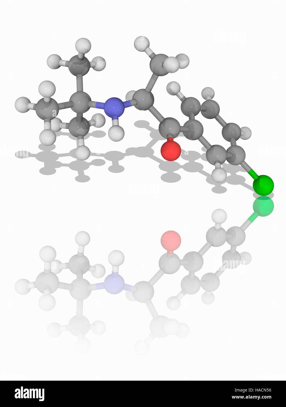 Bupropion. Molekulares Modell des Medikaments Bupropion (C13. H18. Cl.N.O), verwendet als Antidepressivum und als Hilfsmittel mit dem Rauchen aufzuhören. Atome als Kugeln dargestellt werden und sind farblich gekennzeichnet: Kohlenstoff (grau), Wasserstoff (weiß), Stickstoff (blau), Sauerstoff (rot) und Chlor (grün). Abbildung. Stockfoto