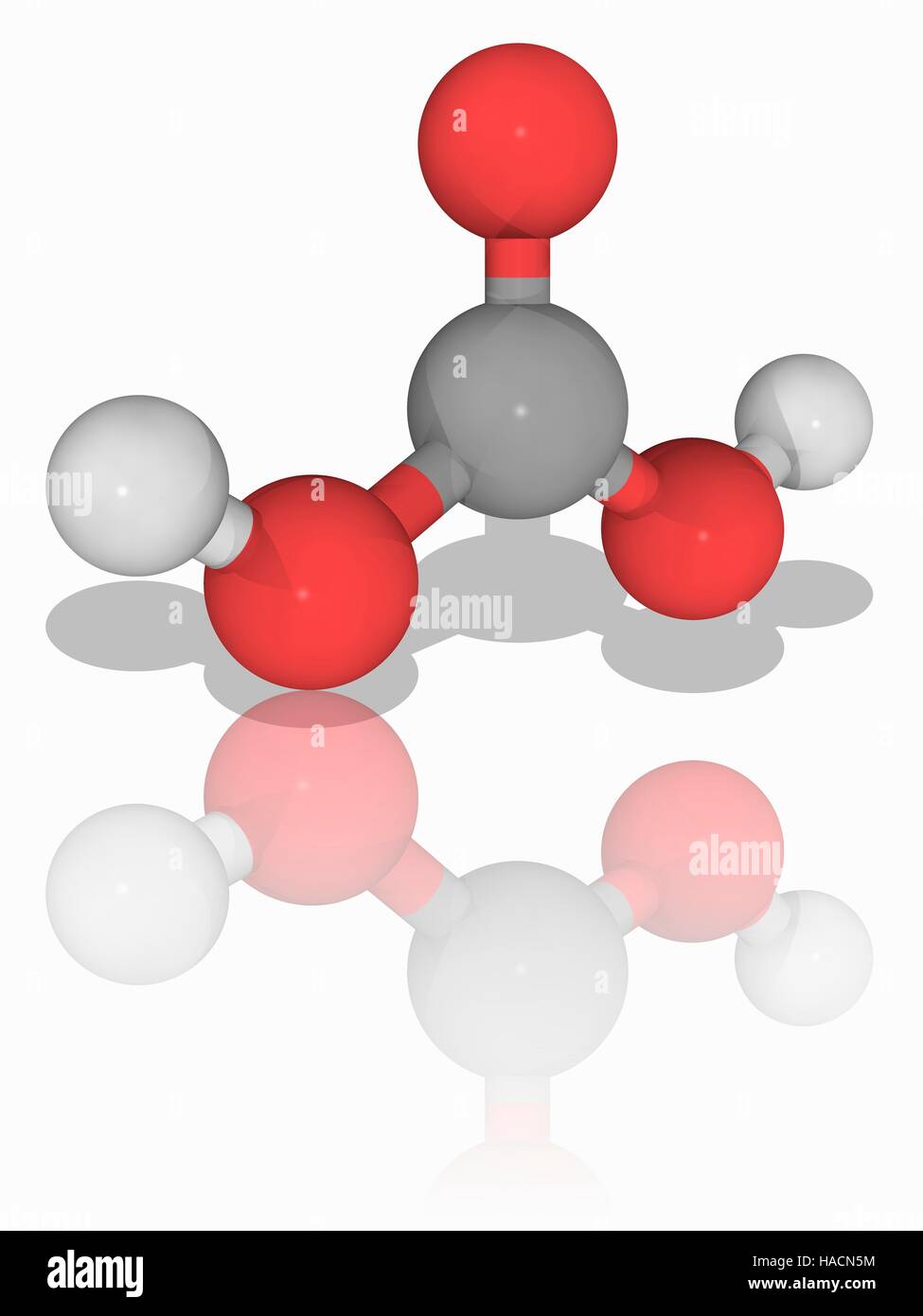 Kohlensäure. Molekülmodell der schwachen Säure bekannt als Kohlensäure (H2CO3). Diese Säure bildet, wenn Kohlendioxid löst sich in Wasser, bei diesem Prozess spielt eine Schlüsselrolle in Prozesse wie die Übersäuerung der Ozeane und die Erosion der Kalkstein Felsen. Kohlensäure kann zwei Arten von Salzen, die Karbonate und die Bikarbonatkonzentration bilden. Atome als Kugeln dargestellt werden und sind farblich gekennzeichnet: Kohlenstoff (grau), Wasserstoff (weiß) und Sauerstoff (rot). Abbildung. Stockfoto